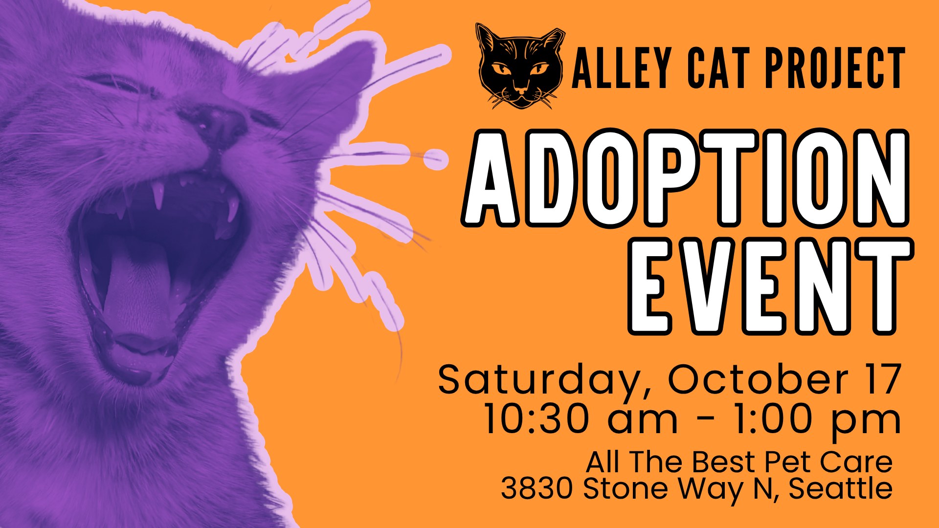 10/17 Adoption Event with Alley Cat Project