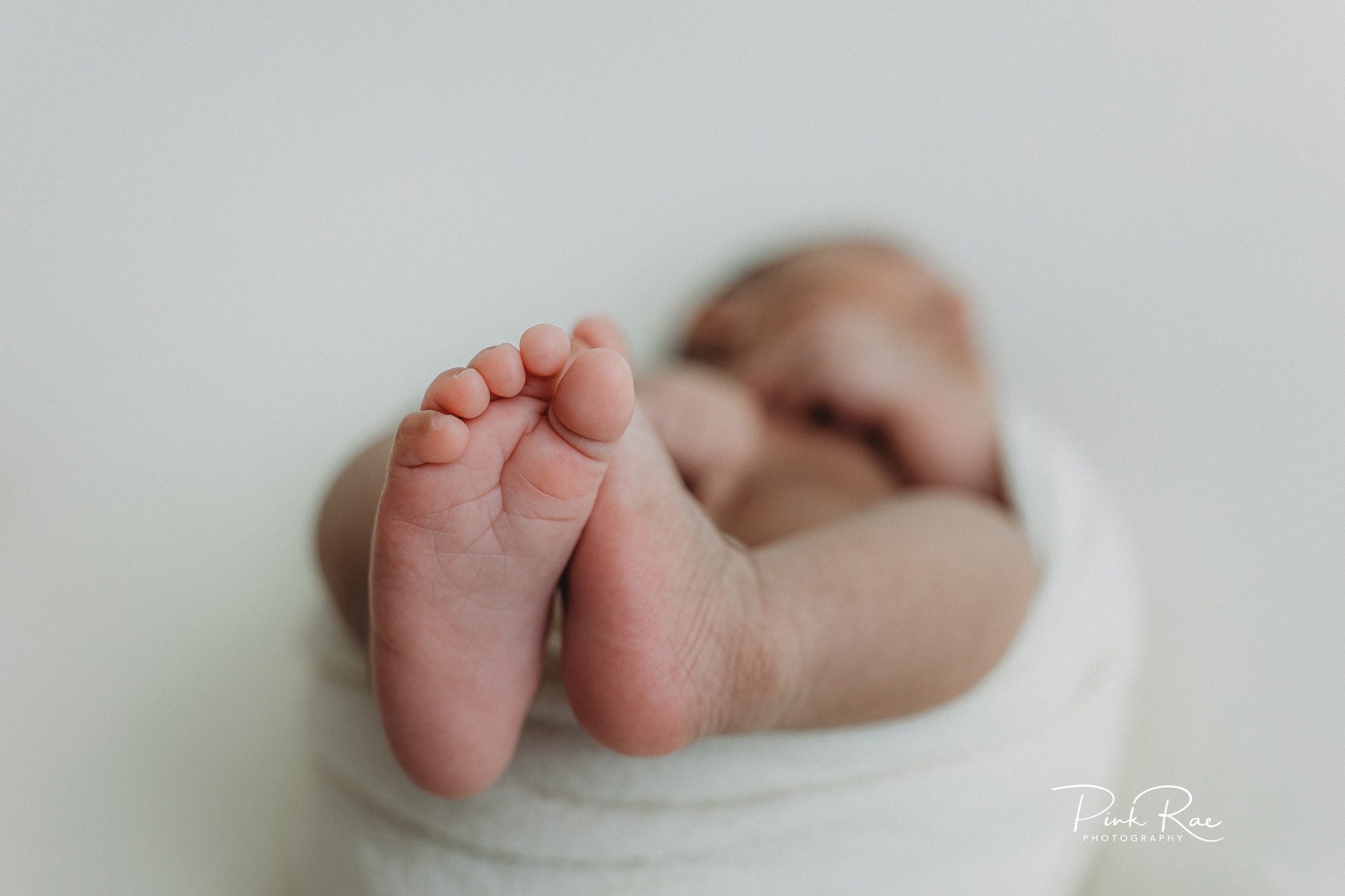 Pink Rae Photography | Ocala FL