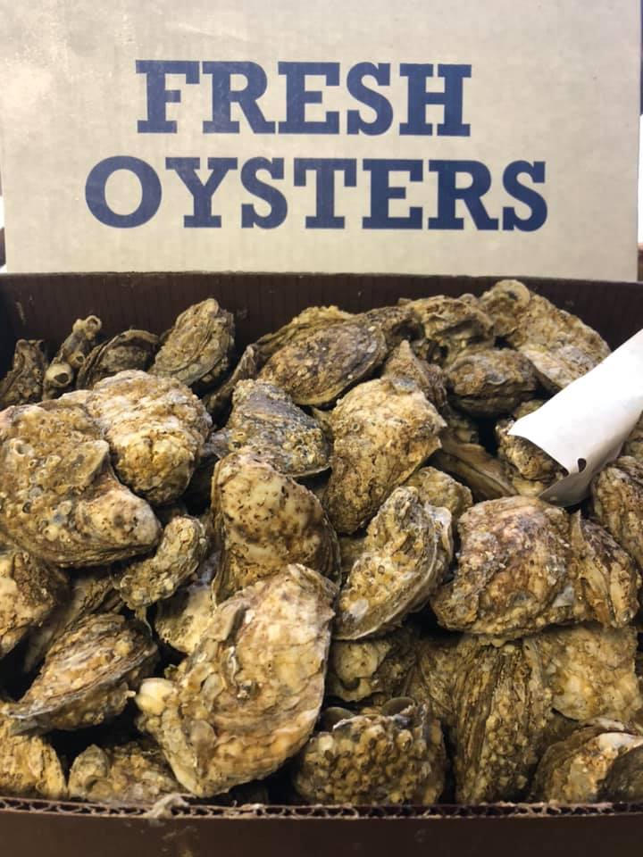 Todd's Seafood - SPECIAL!!! Oysters in the shell... | Facebook