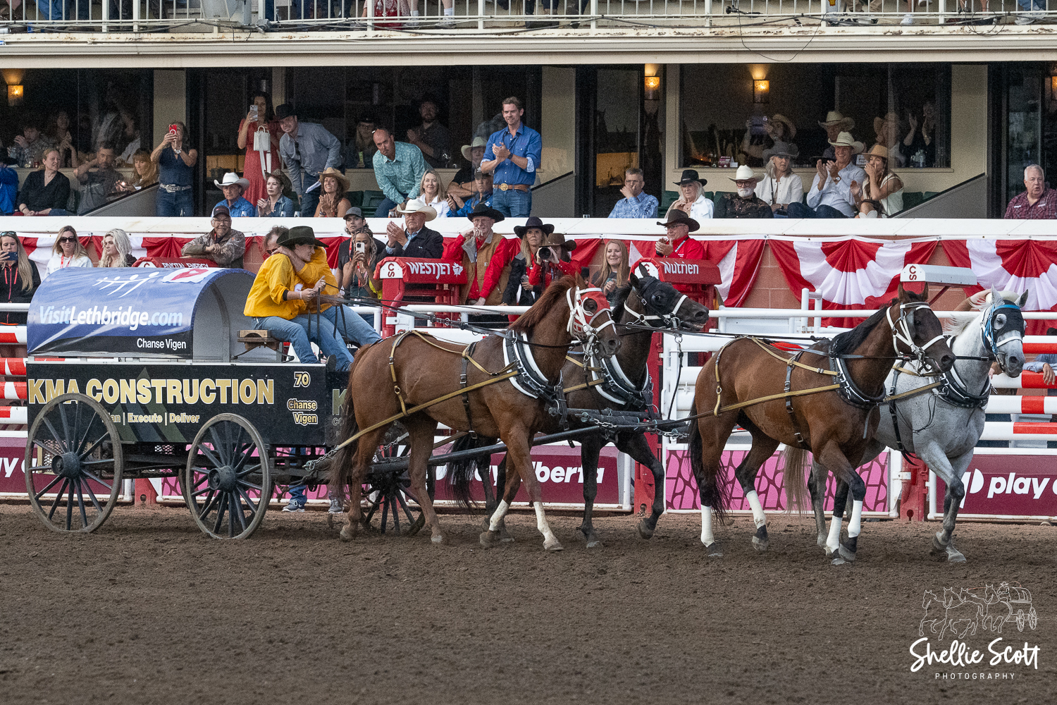 Chanse Vigen Chuckwagon Team