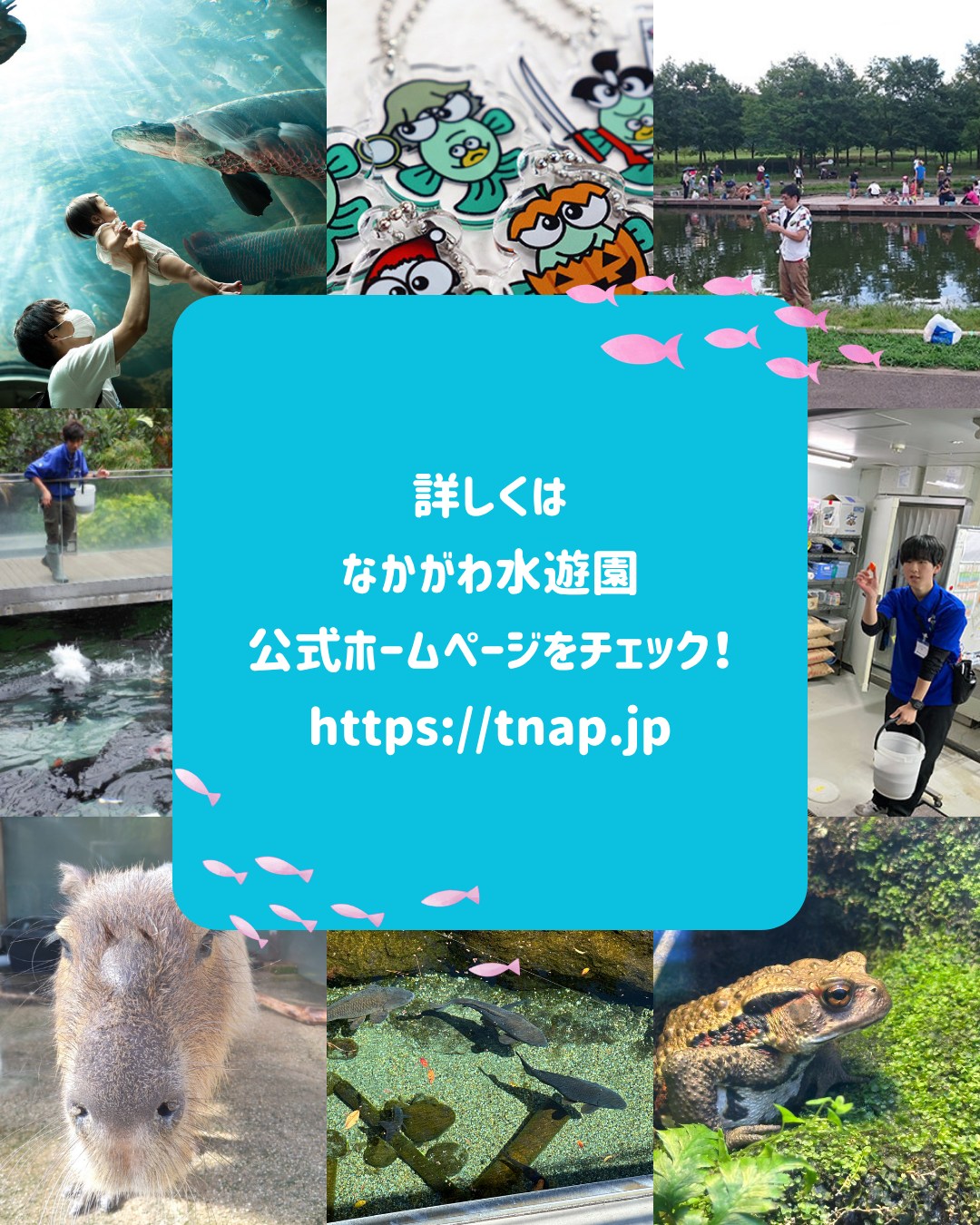 活動歴および当時の関連ビジュアル記録