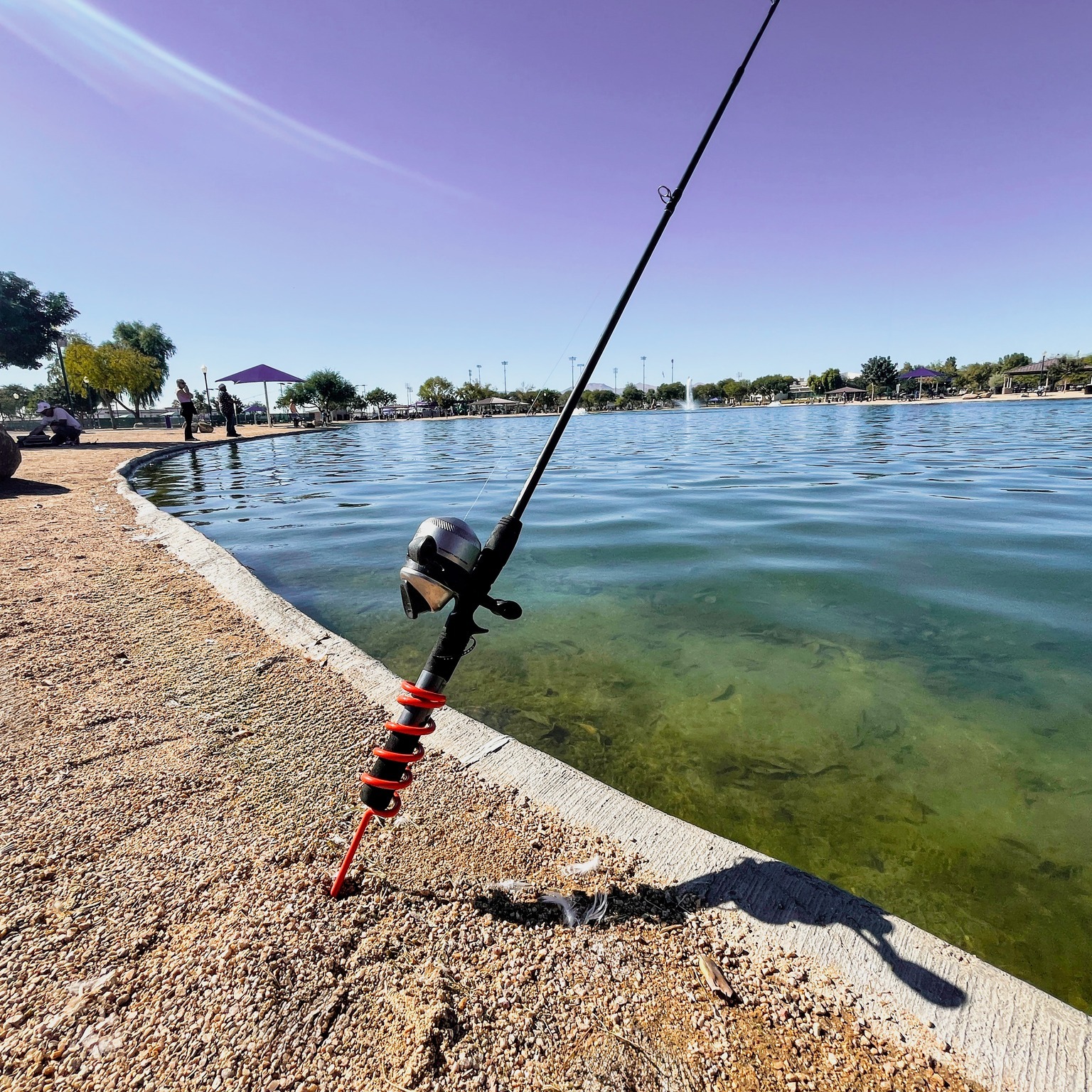 catfish cooley fishing pole Sumo Chop Stick Elite 150 Catfishing Rod | 559380 channel catfish Fishing at Surprise Community Lake