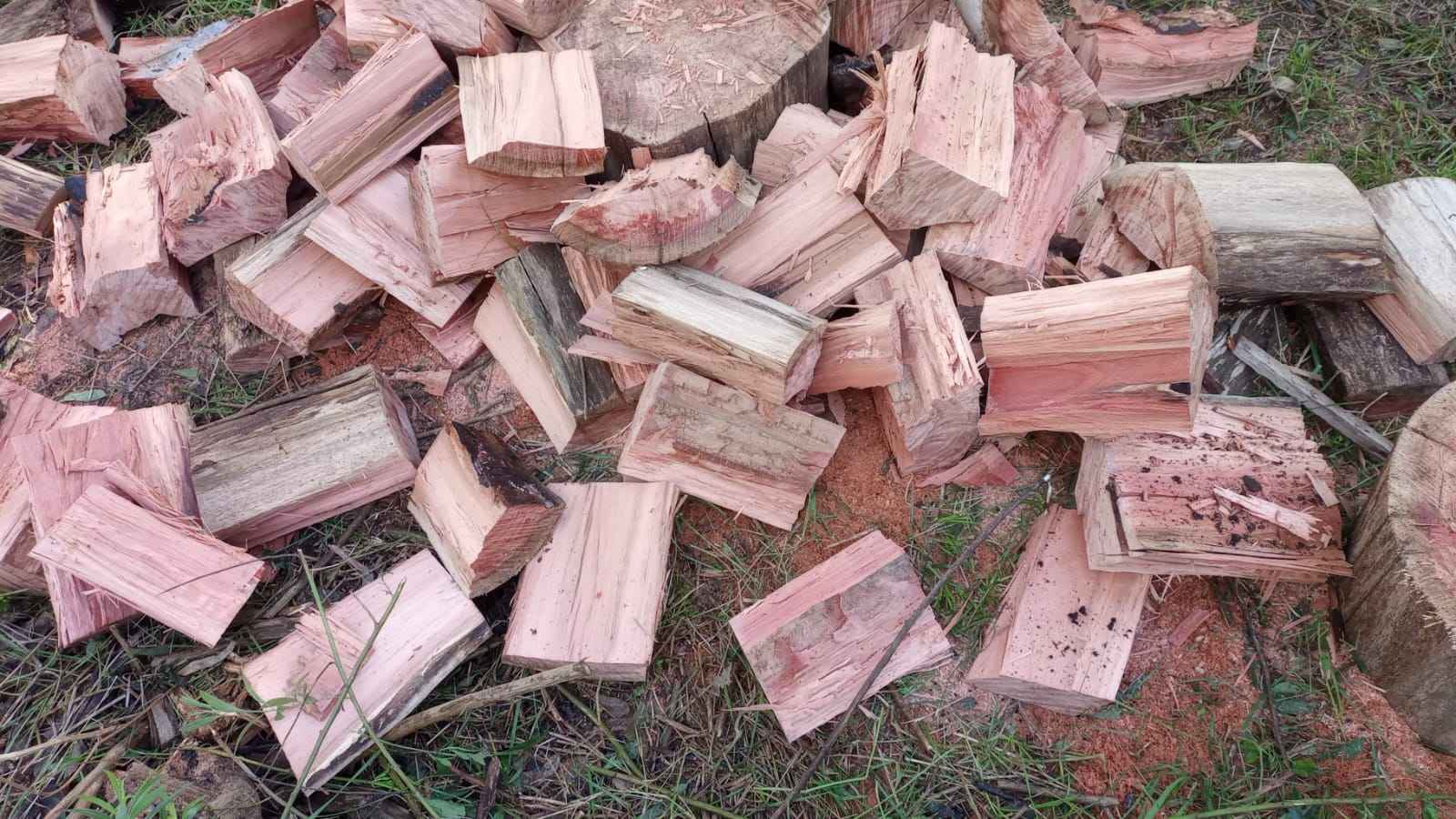 Vendo leña seca de eucalipto x tonelada en rolo o astillada o bolsa ...