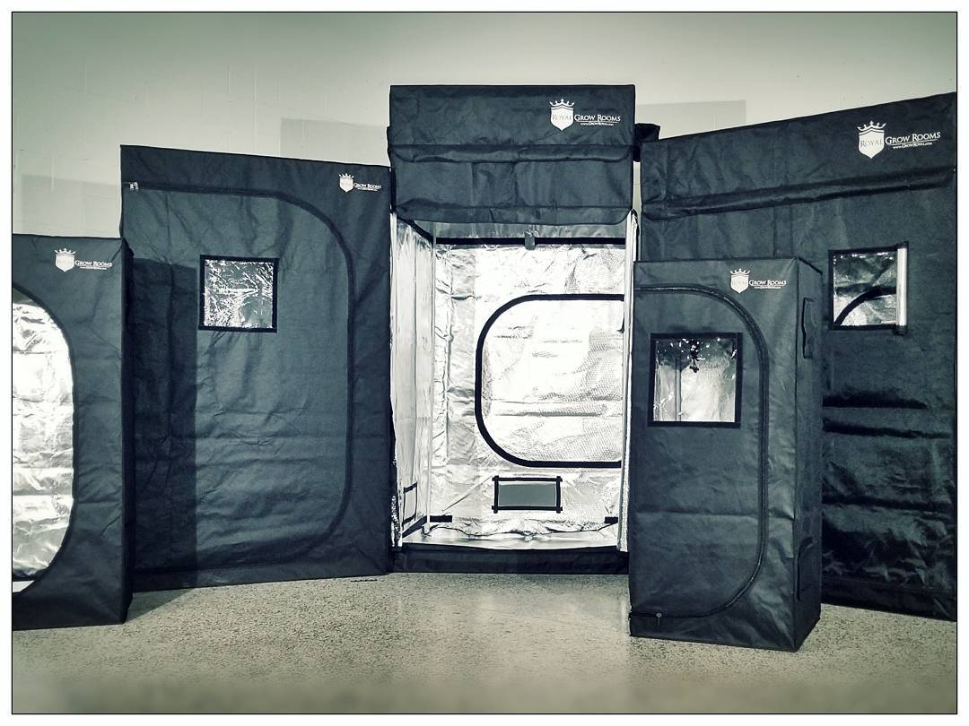 lotus belle tent 13ft Stargazer Deluxe save pieces) A zipped rectangular Size:35' x 50' Textile Terrassendächer - MOEHN