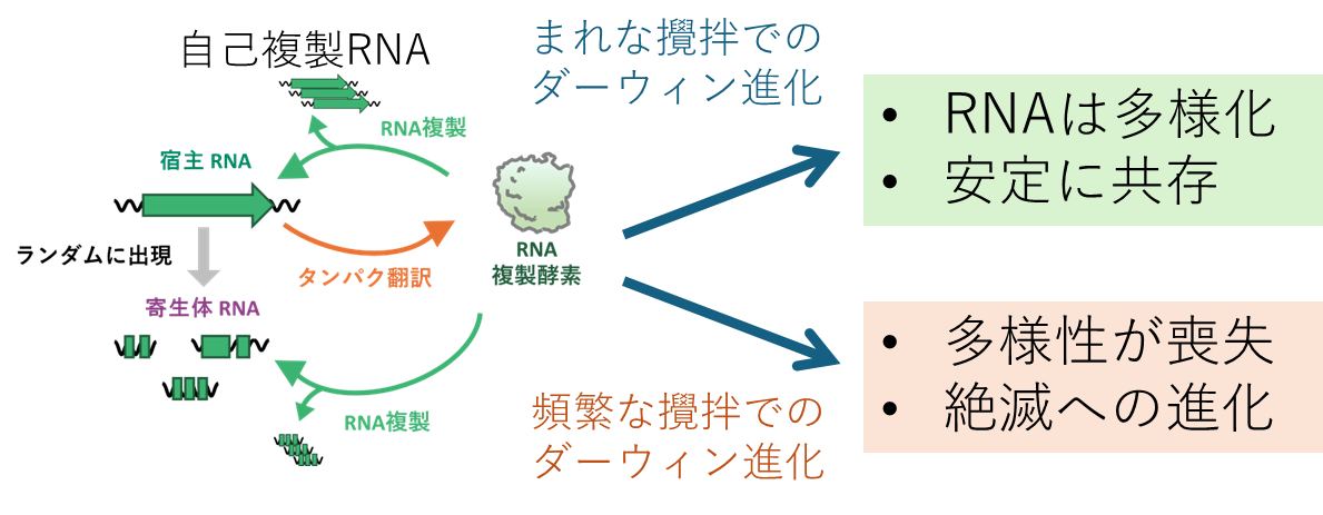 東京大学 大学院総合文化研究科 広域科学専攻 生命環境科学系