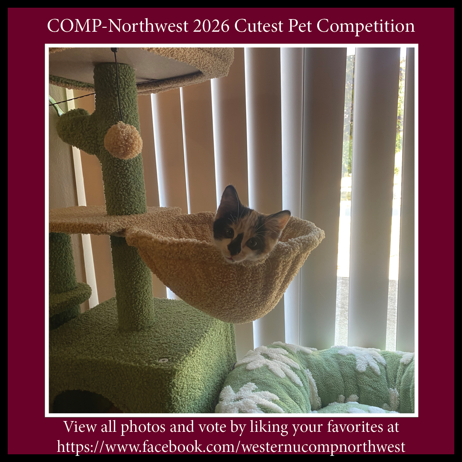 WesternU COMP Northwest added a... - WesternU COMP Northwest