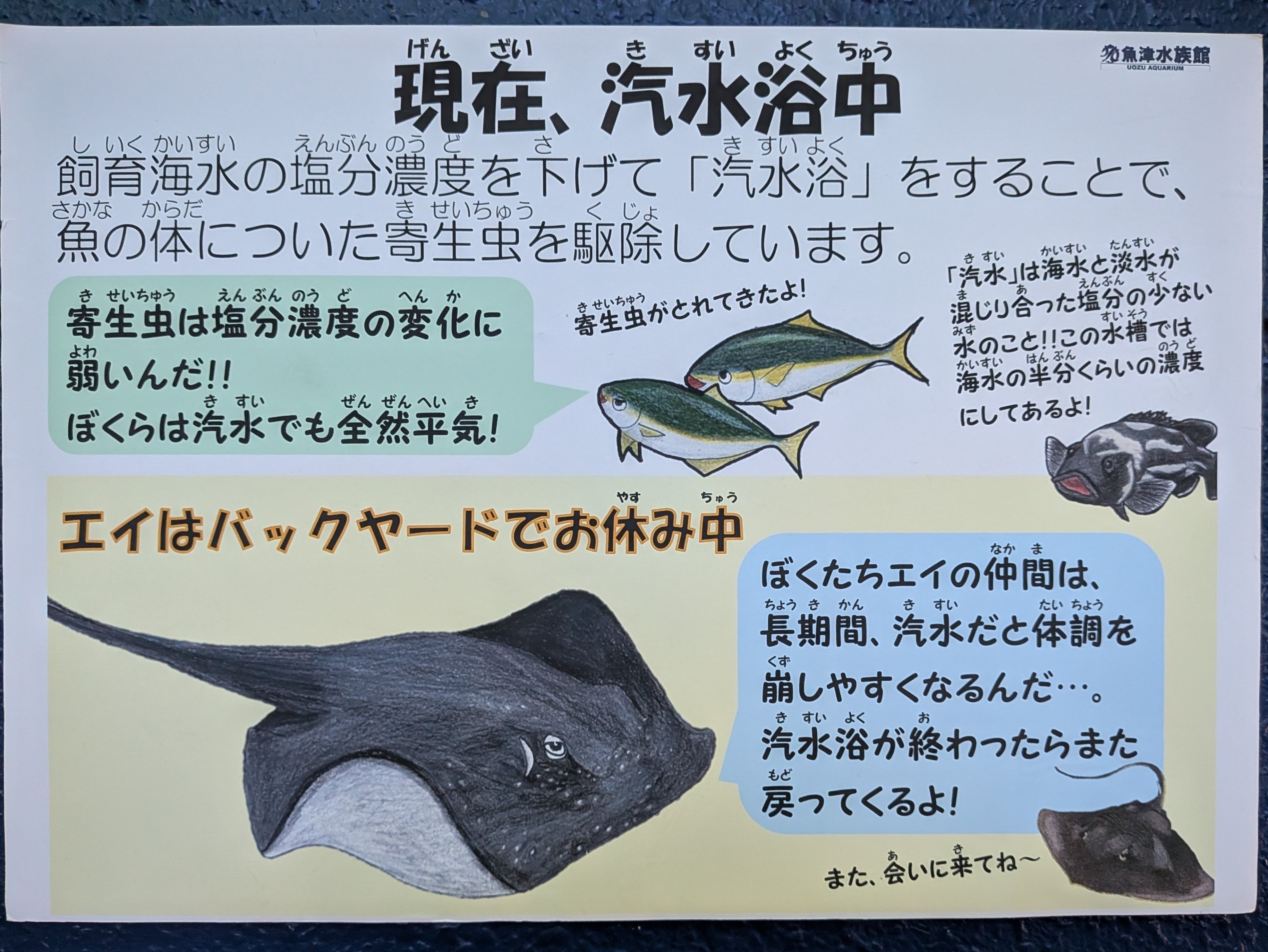 魚津水族館 | Uozu-shi Toyama