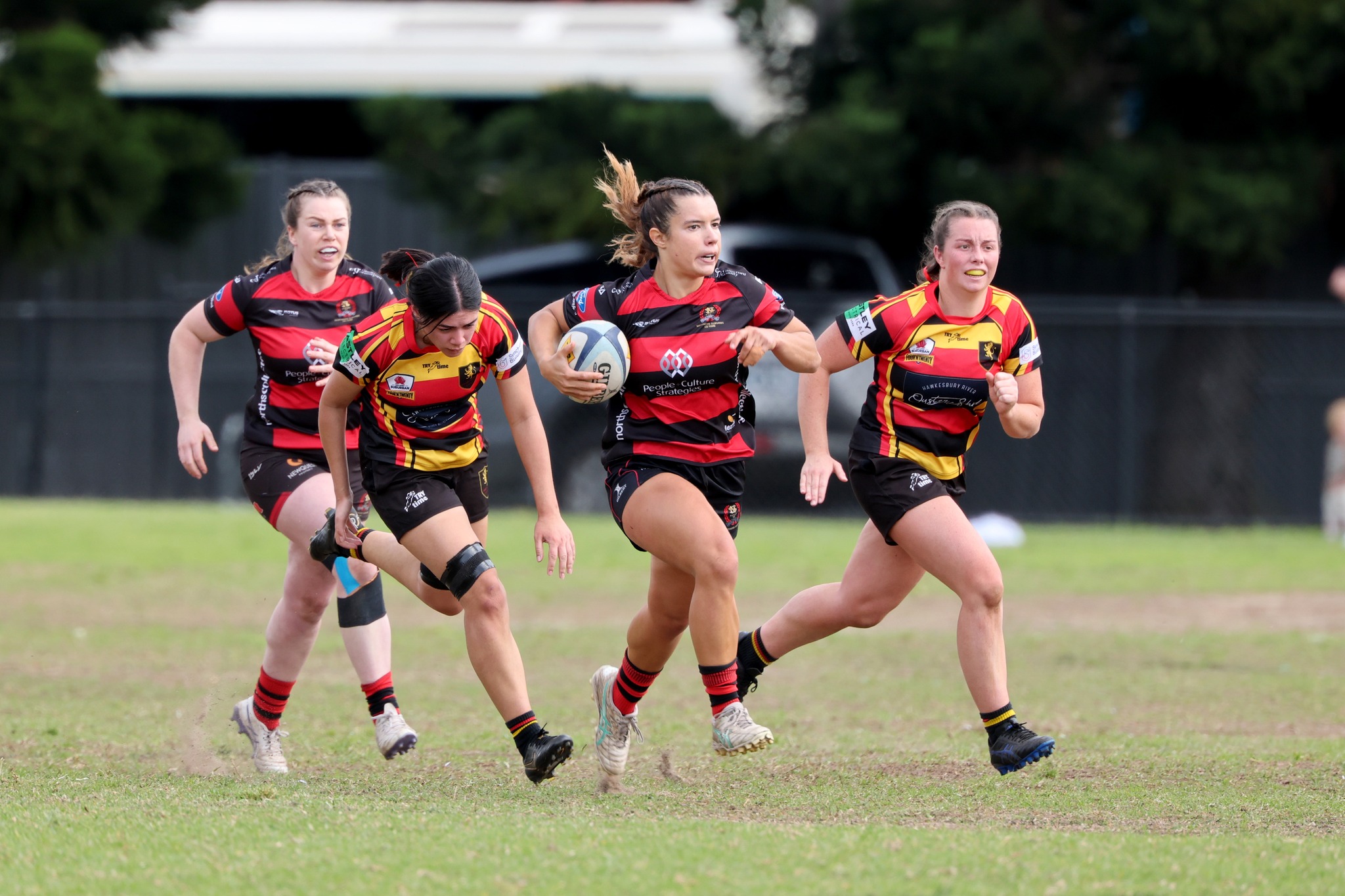 Northern Suburbs... - Northern Suburbs Rugby Football Club