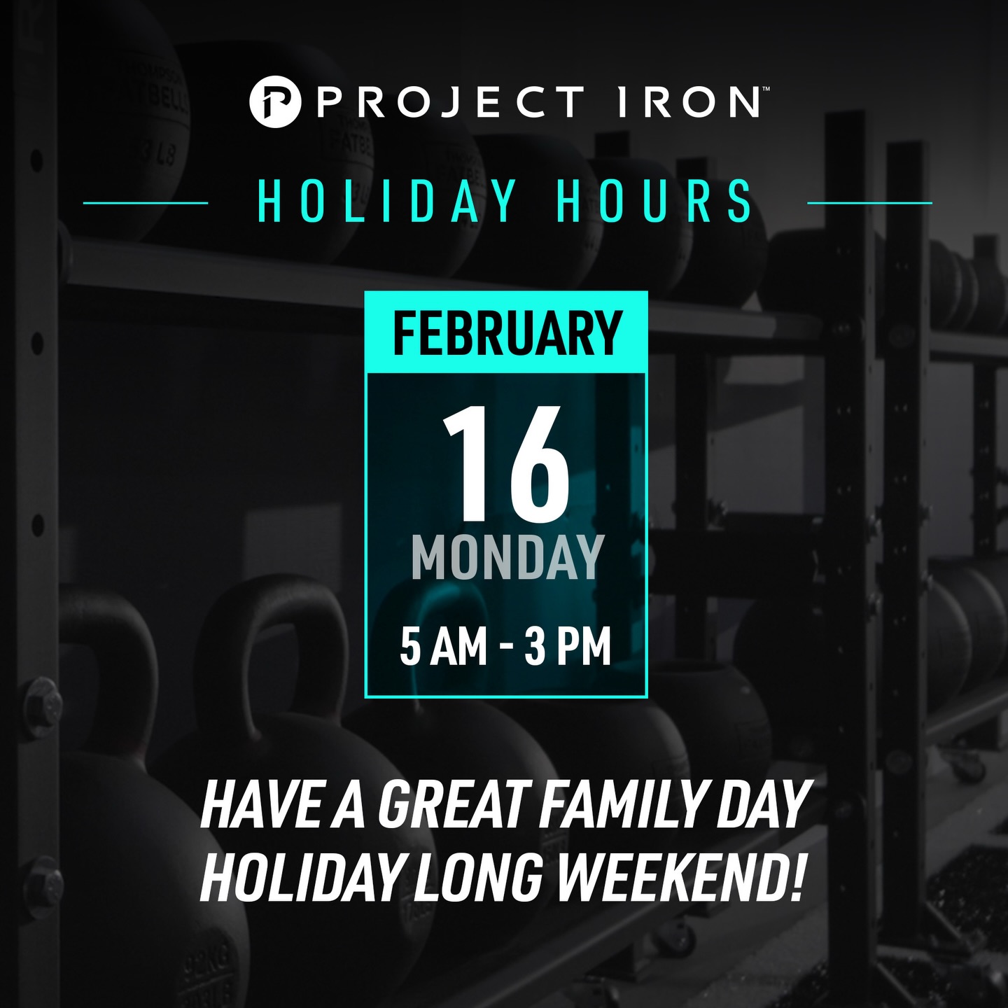 Project Iron | Guelph ON