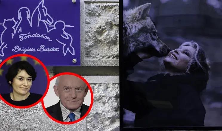 wpolsce-pl-ukowska-w-ostrych-s-owach-wygarn-a-facebook