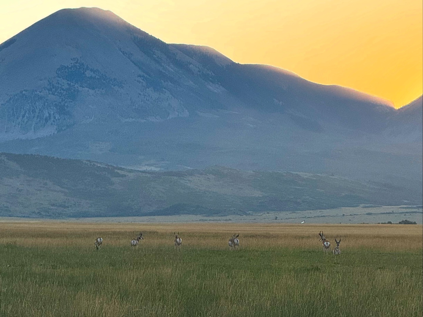 JW Ranch | La Veta CO
