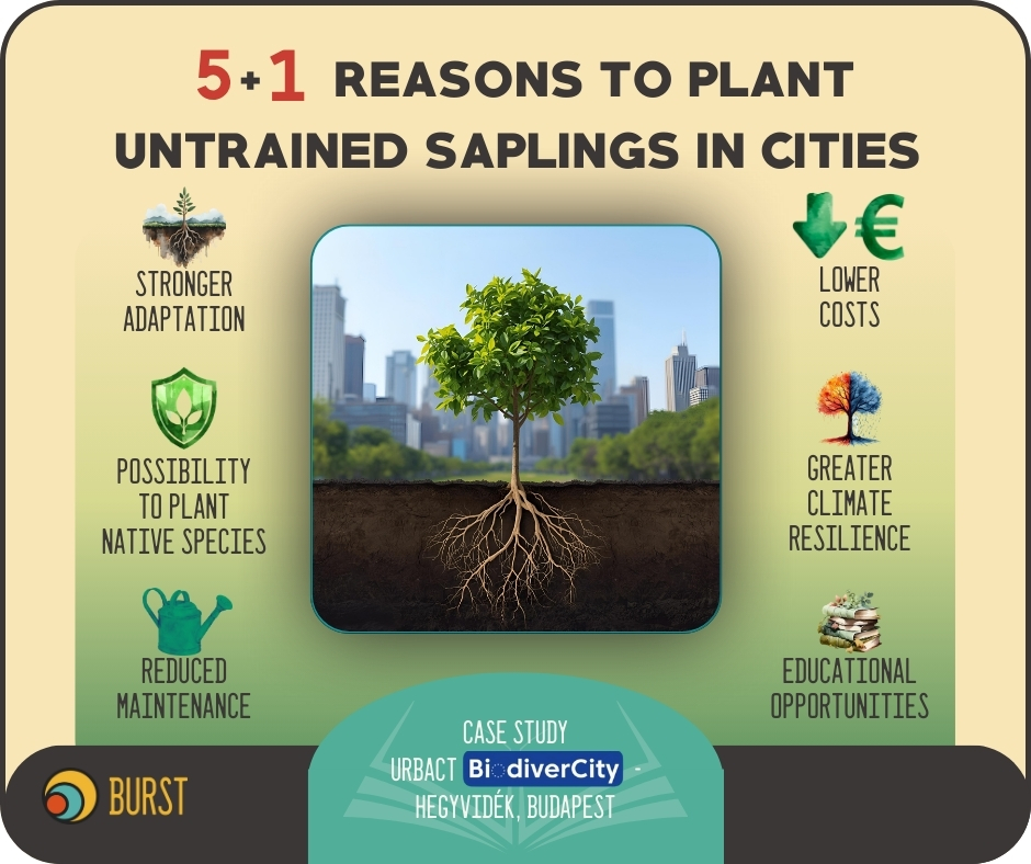 BURST - 🌍 Zero Emissions Day 2025 – Planting Trees for a Net Zero ...