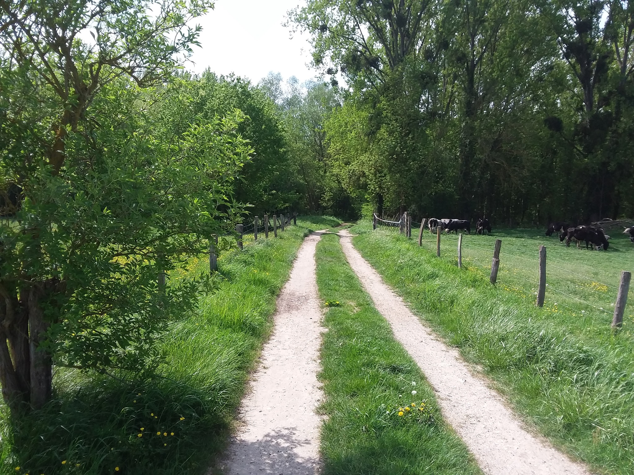 Chemins ruraux des Hauts-de-France | Barenton-Bugny