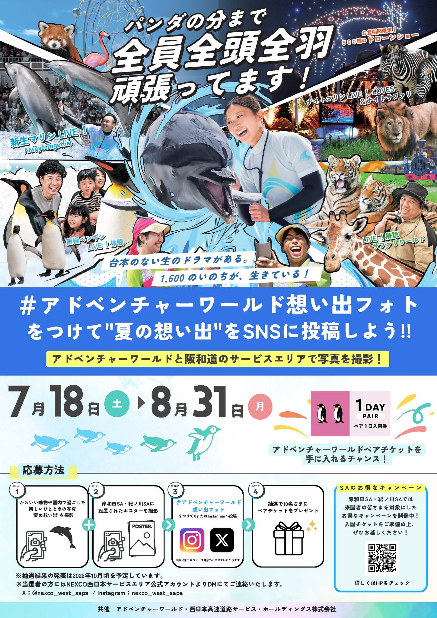 車でお越しの方必見！🚗💨 ／ 【NEXCO西日本×アドベンチャーワールド