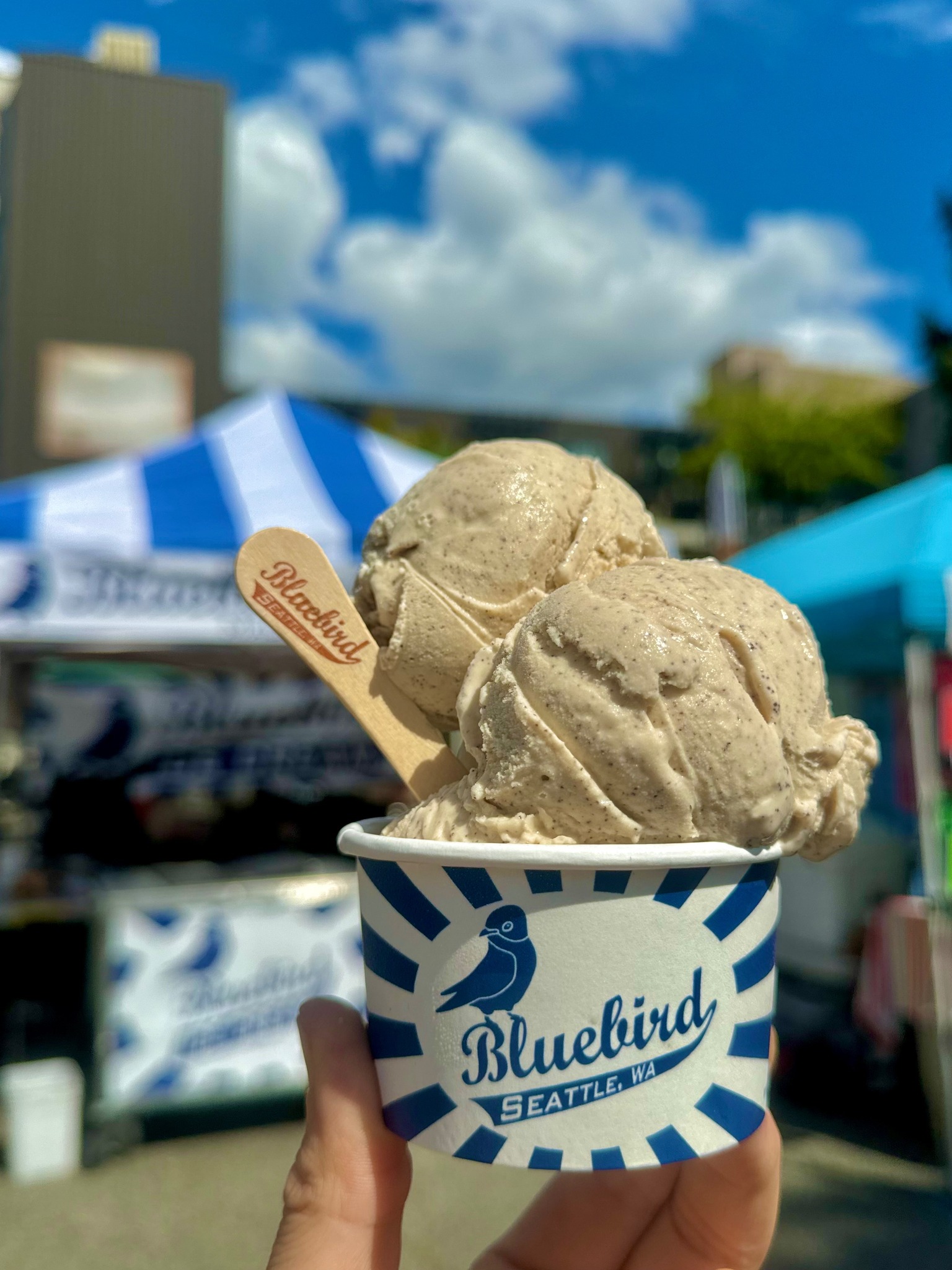 Bluebird Ice Cream (@bluebirdicecrm) • Facebook