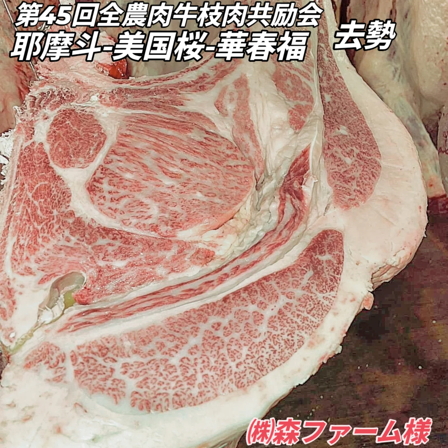 本日大阪食肉市場にて開催されました第45回全農肉牛枝肉共励会に㈱森 