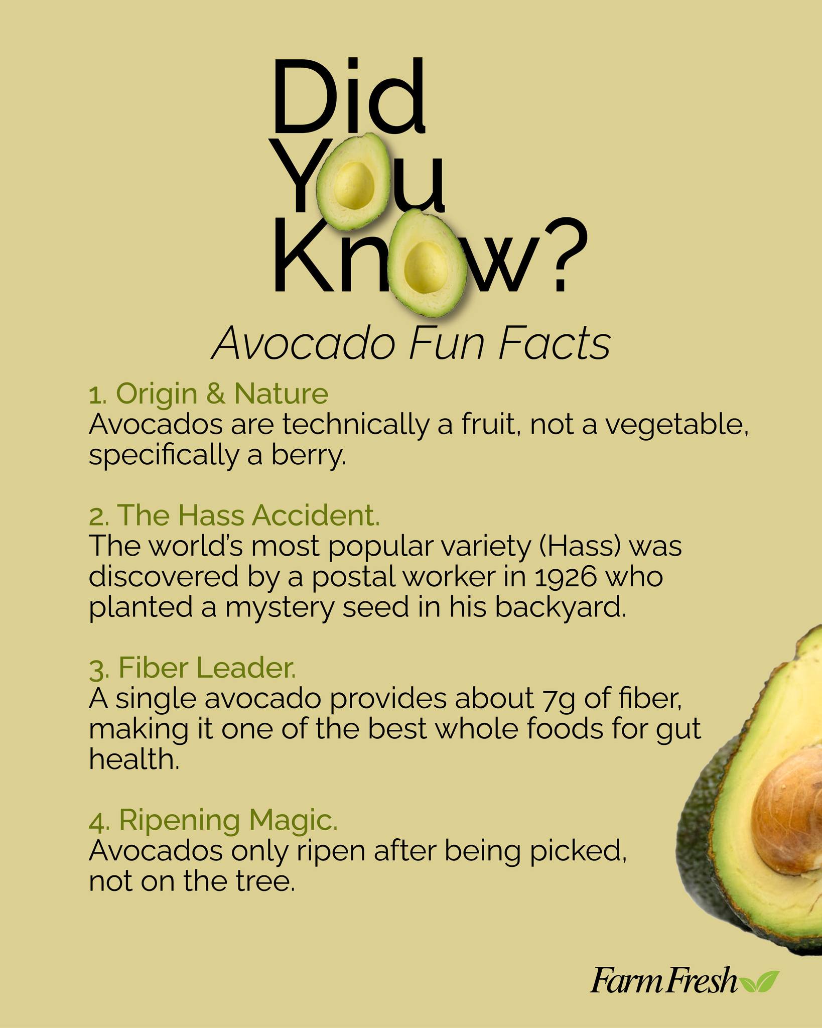 🥑Avocados are full of surprises…and we're not just talking about the taste. Not everything about them is as simple as it seem. Here are a few unpopular facts about avocados you might
