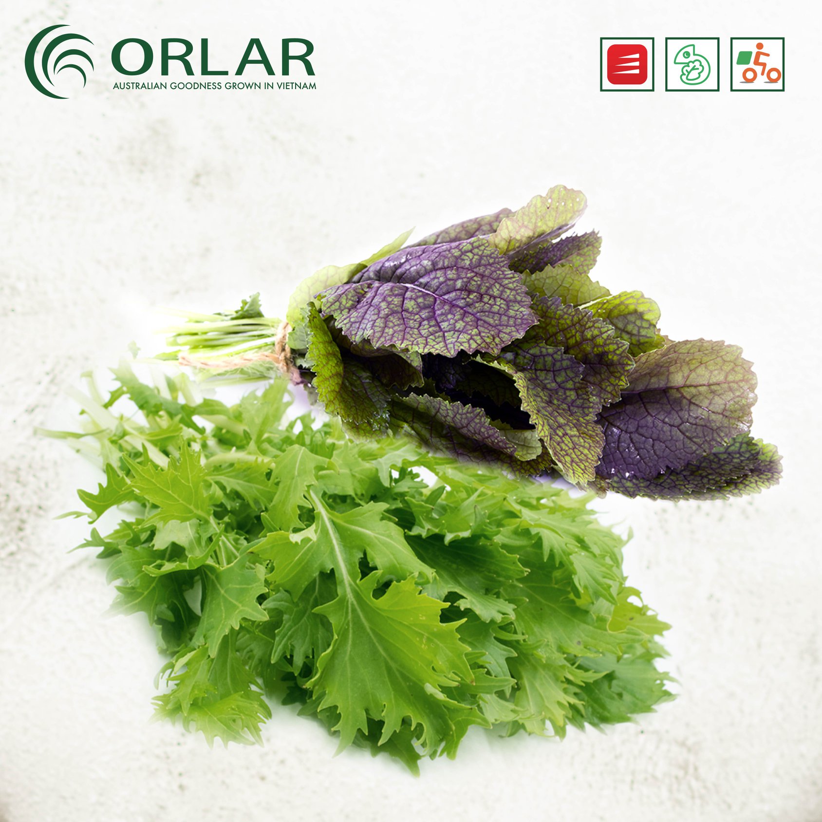 Orlar - 📣Giới thiệu sản phẩm mới số lượng có hạn: Rau mù...