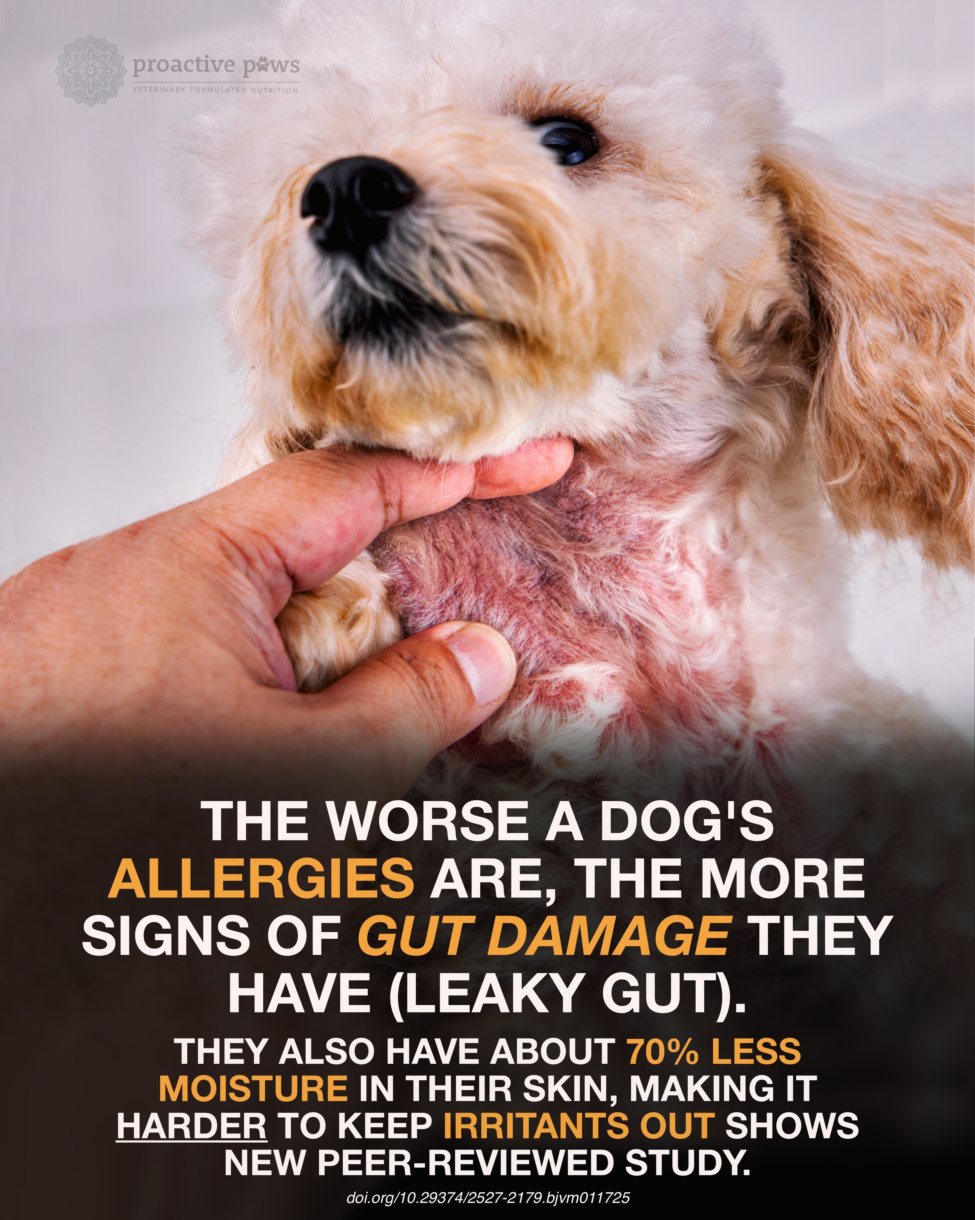 glutathione and allergies sulfa allergy allergy: Avoid these drugs medications The power duo your skin
