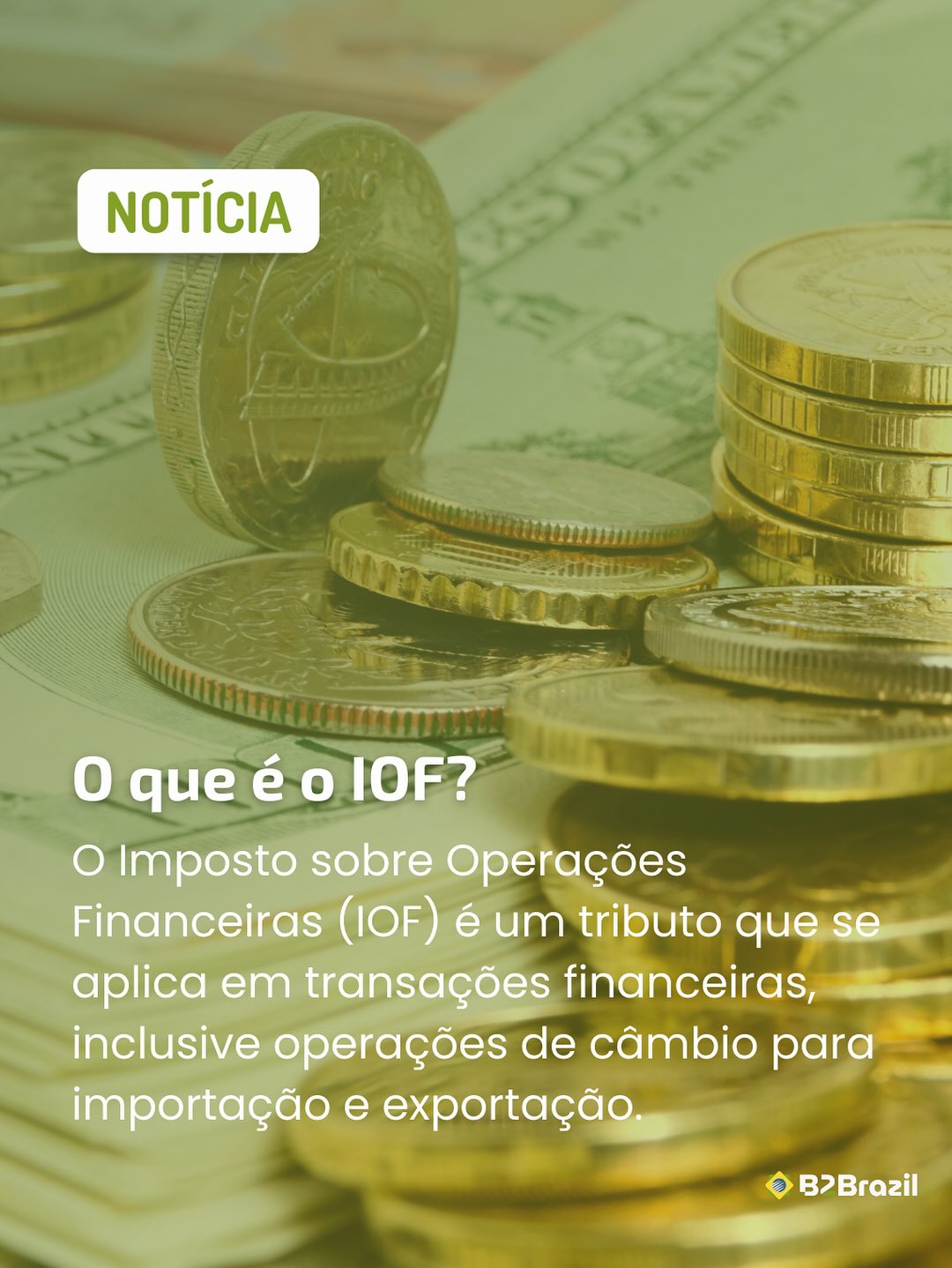 B2Brazil.com | Barueri SP