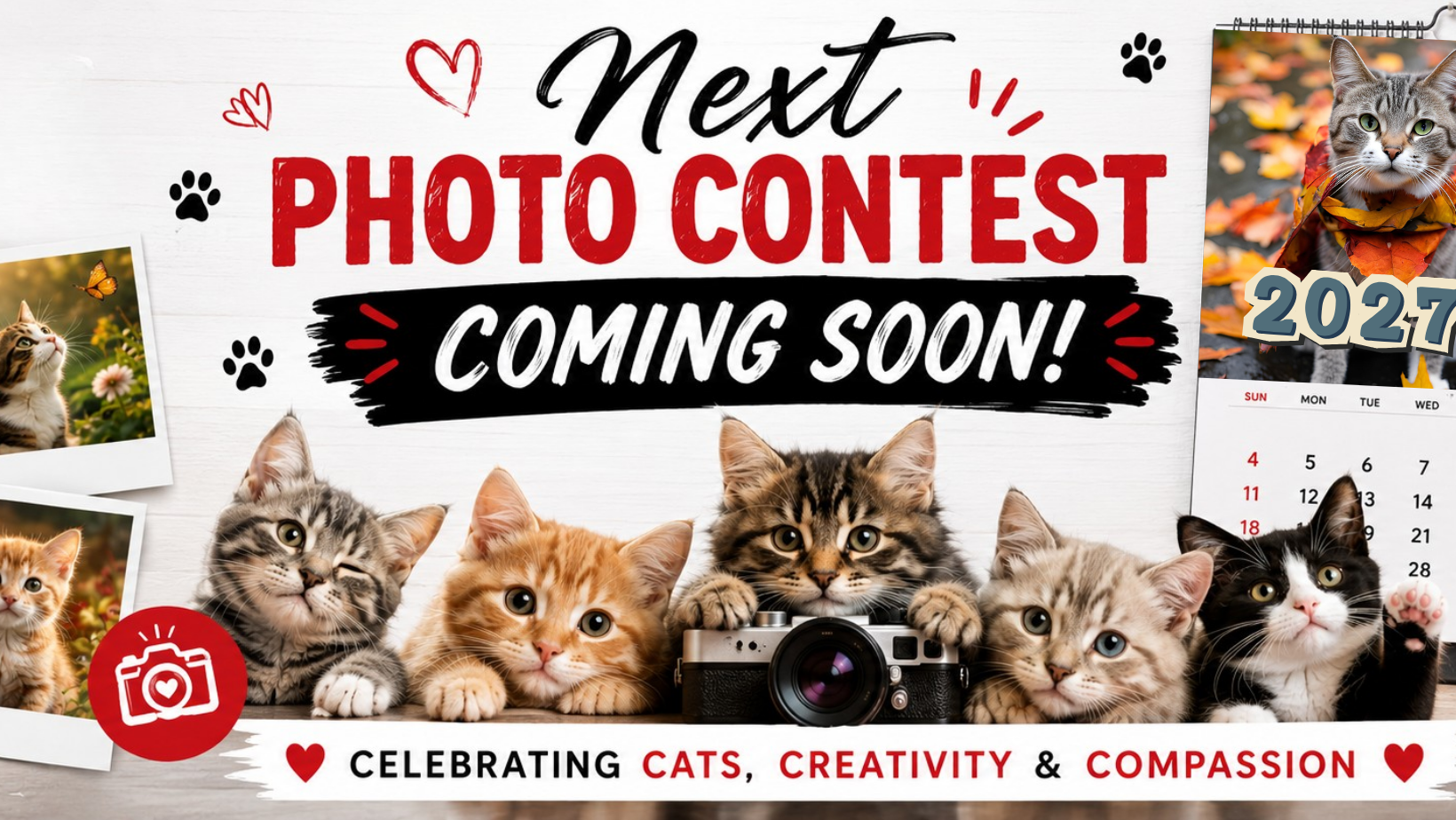 Love CATS (@official.LoveCATS) • Facebook