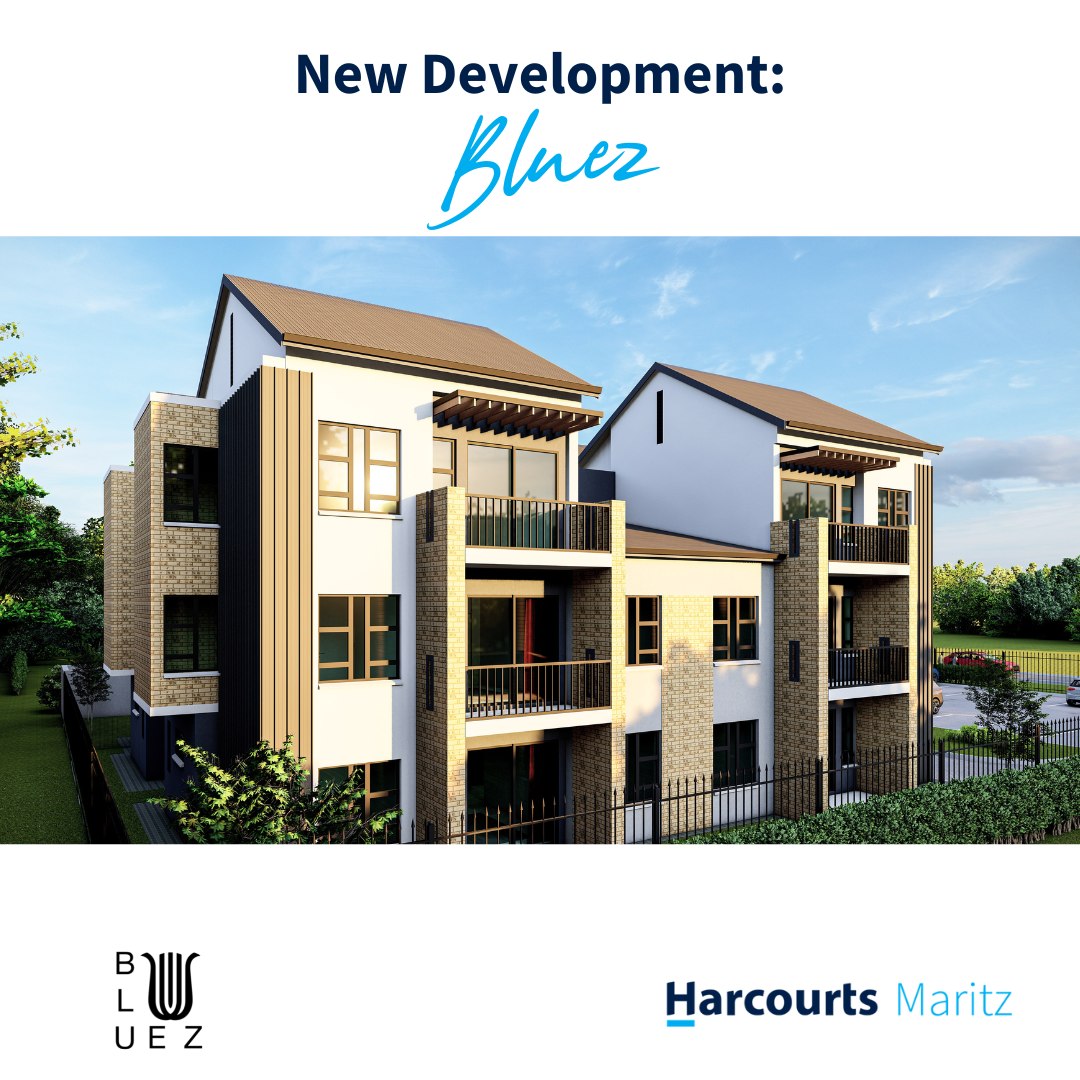 Bluez - Introducing Bluez! Situated at 141 Union Street... | Facebook