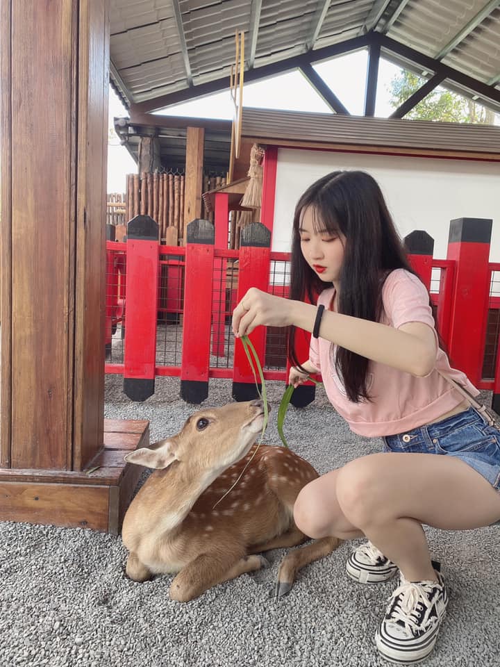 孟孟 - 孟孟 added a new photo — at 九九峰動物樂園 （宜蘭樹懶餐廳）.