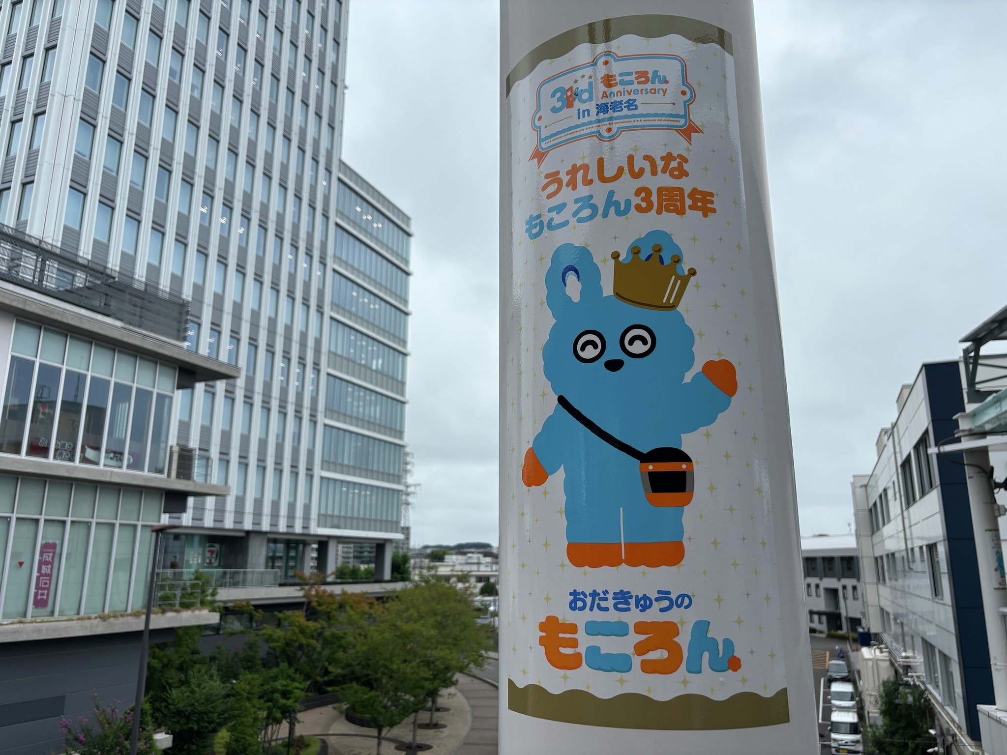 小田急ロマンスカー - 2012年3月16日（金）のラストランに向けて、3