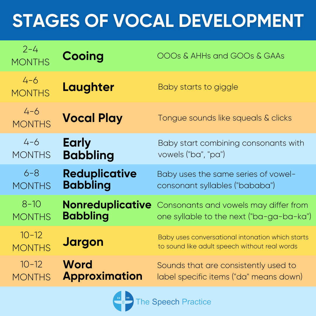 Did you know that most babies go... - The Speech Practice | Facebook