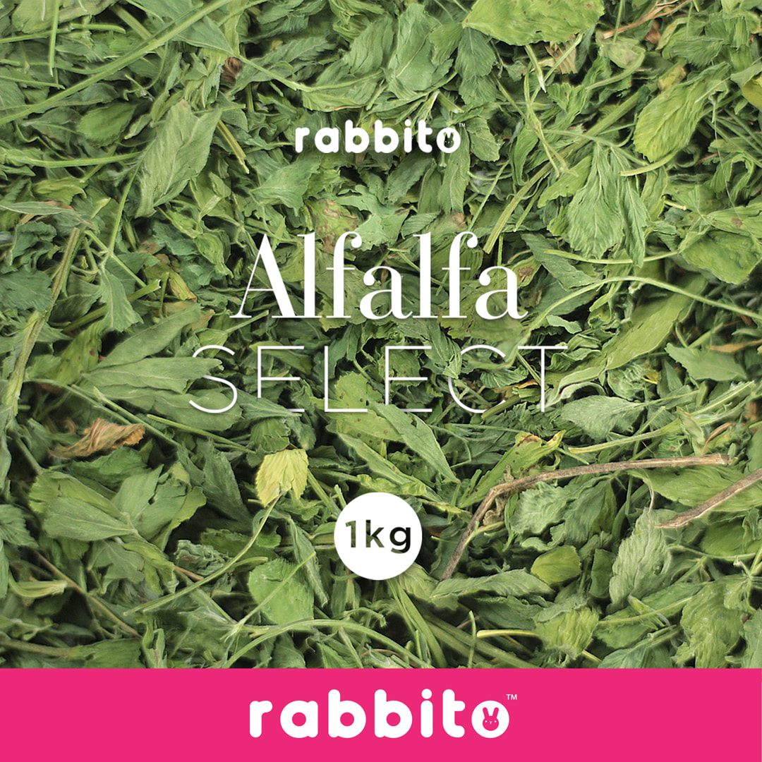Rabbito - Introducing our very own ALFALFA SELECT Premium Alfalfa Hay ...