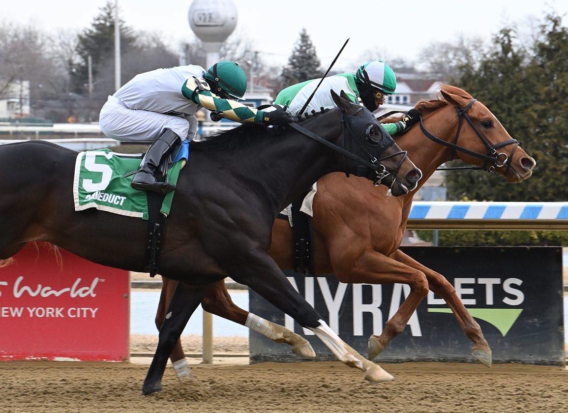 National Identity is entered... - Reeves Thoroughbred Racing | Facebook