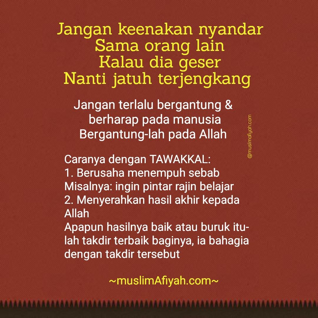 Muslimafiyah Kajian Islam Dan Kesehatan Bergantung Kepada Allah Dan Tidak Bergantung Pada Mahluk Indonesiabertauhid Salah Satu Bukti Tingginya Tauhid Seseorang Adalah Bergantung Pada Allah Dan Tidak Bergantung Pada Mahluk