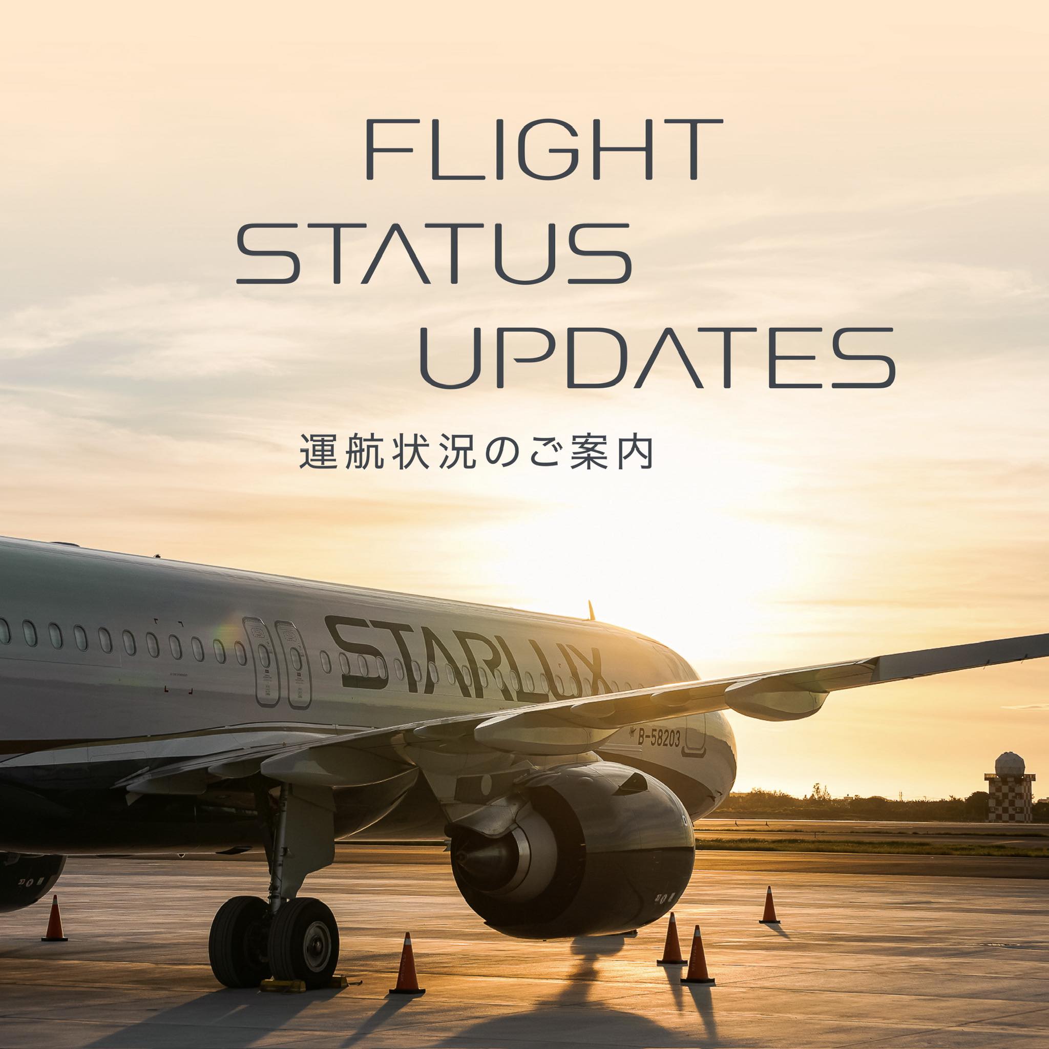 Steiff x STARLUX テディベアが再登場！ 】 ドイツの老舗ぬいぐるみ 