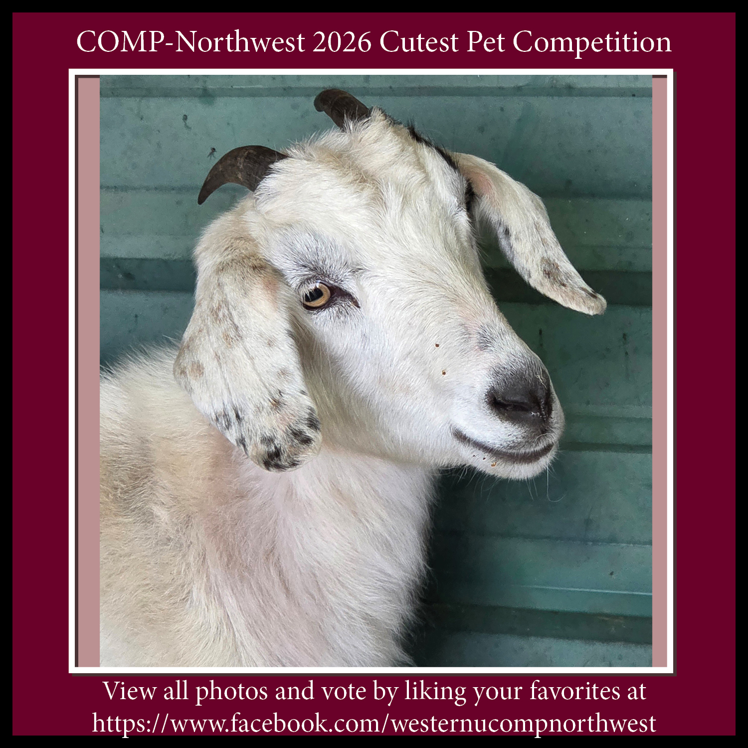 WesternU COMP Northwest added a... - WesternU COMP Northwest