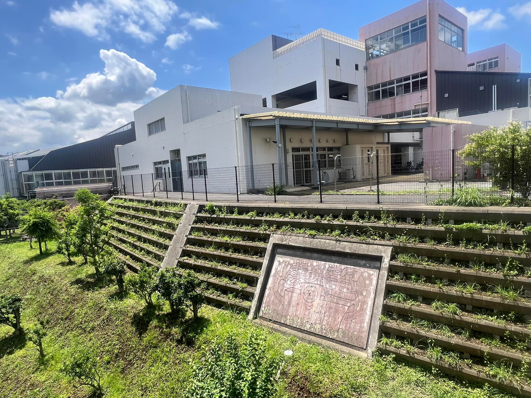公の場での発言・インタビュー報道記録