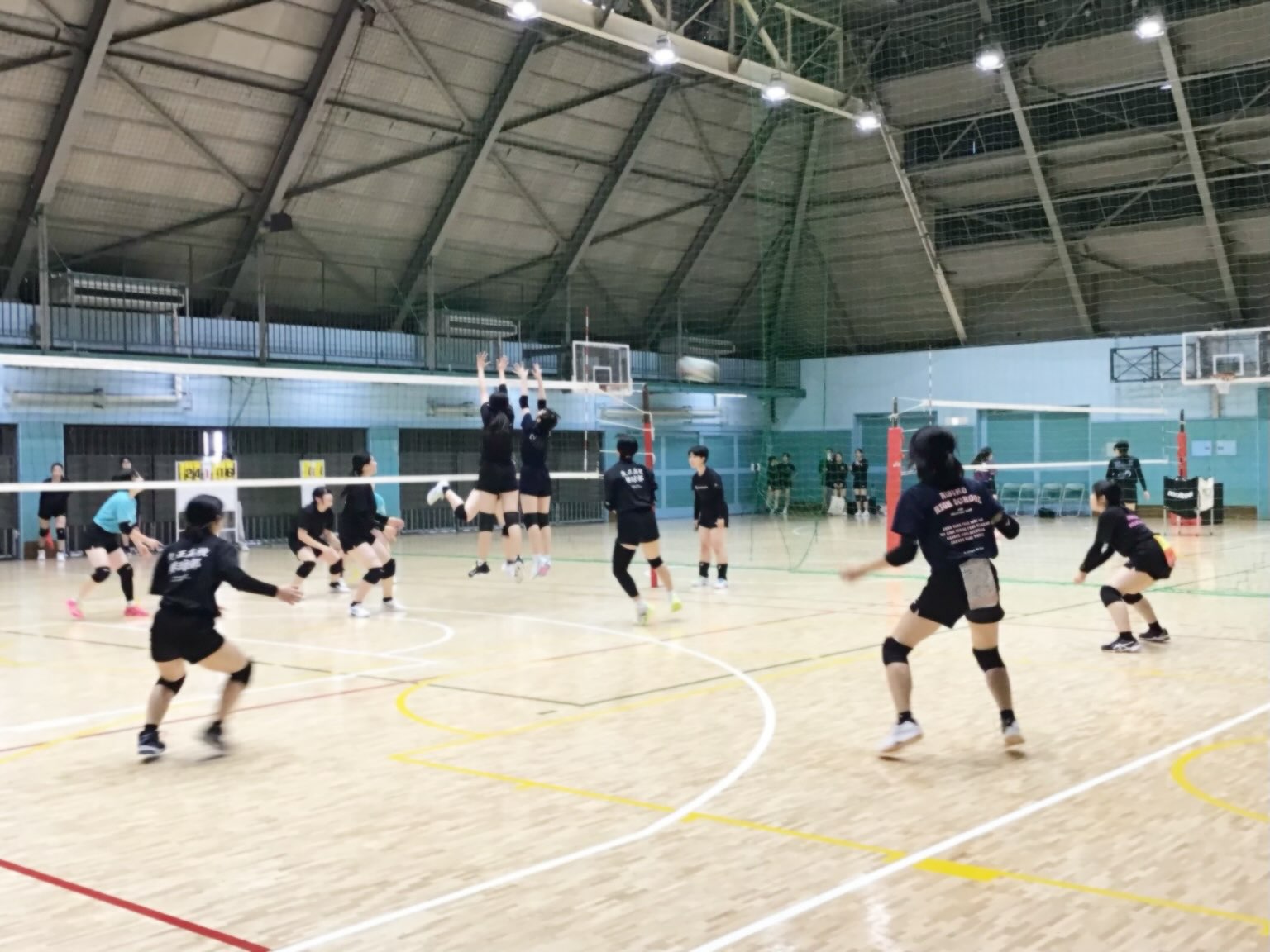 立正大学付属 立正高等学校 女子バレーボール部 | Ota-ku Tokyo