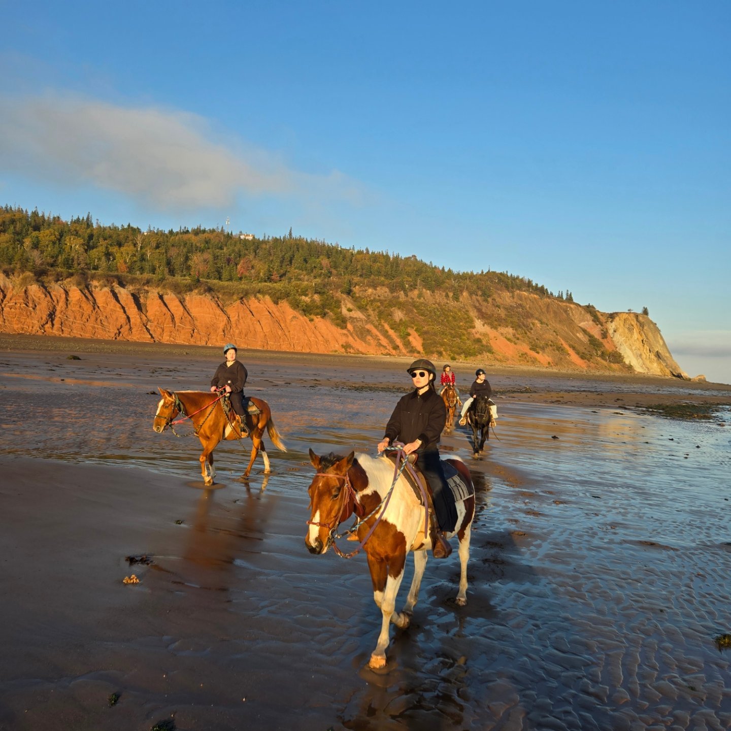 Spirit Reins Ranch | Parrsboro NS