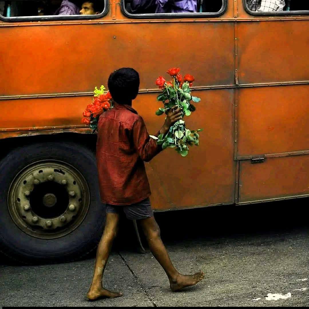 د نن شفی🌿🌱 بابو لاله🌳🎄🌳 ځوان شهزاد ځوان شهزاد 🌷🌷🌷 | ځوان شهزاد ځوان شهزاد