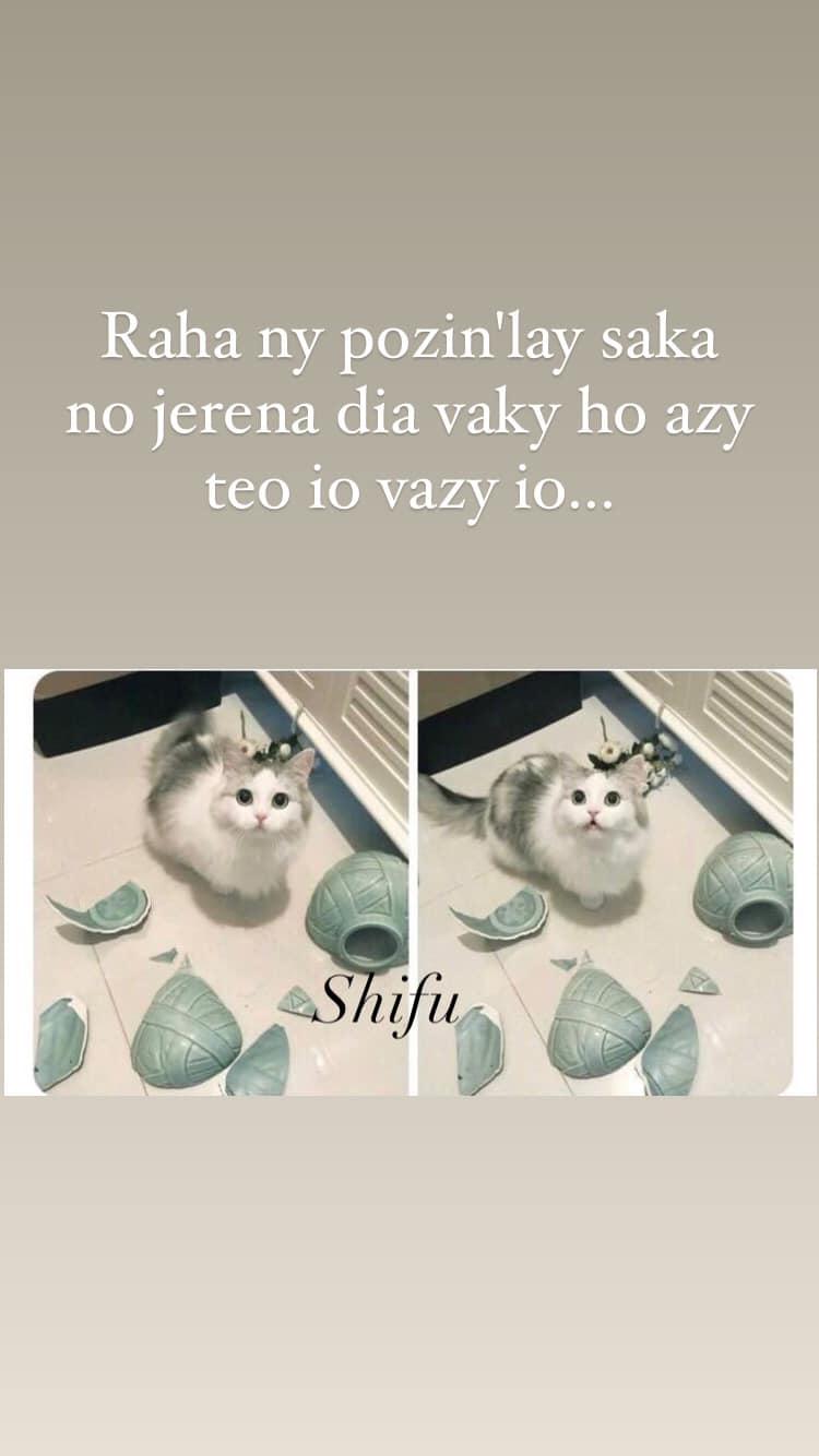 Shifu
