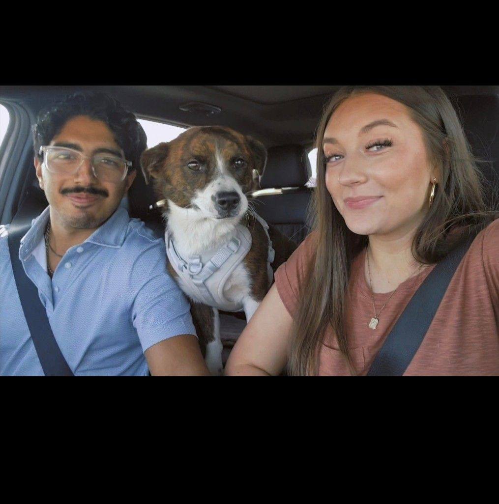 UPDATE: He was returned to his momma!! ️🙌 | Facebook