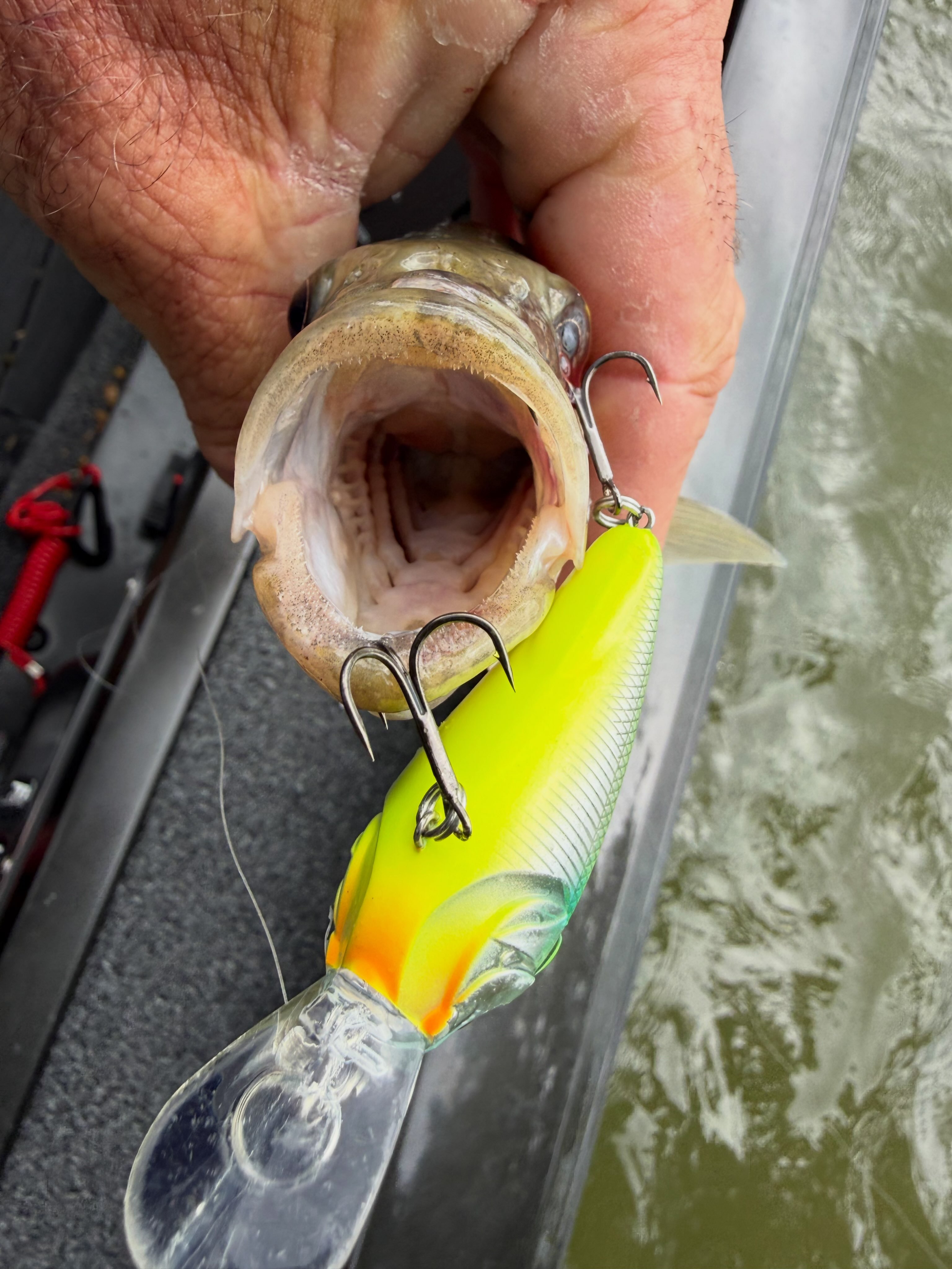 fine hook fishing plugs Mustad AlphaPoint 1X In-Line Triple Grip – Ultra-Sharp Treble – Fishermans Central and 6′′ DRAG+PRESSURE_specs007:15kg LAIMEIZI Thinker Statue Fish Strength - Length:550Lb 100Ft