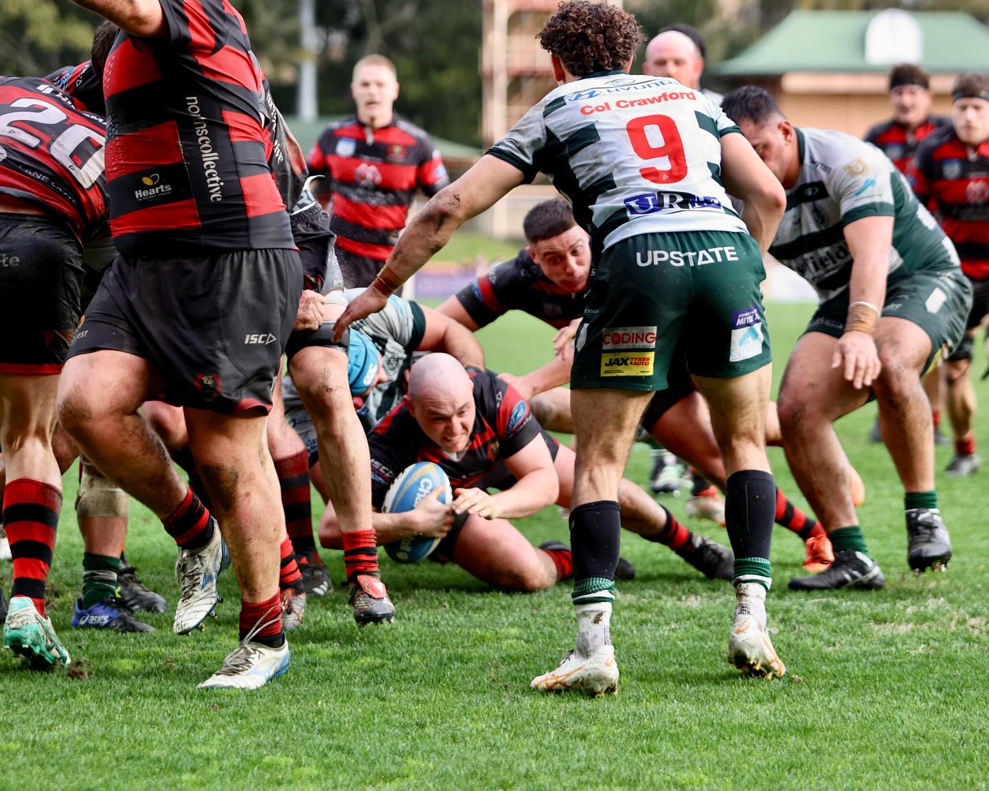 Northern Suburbs... - Northern Suburbs Rugby Football Club