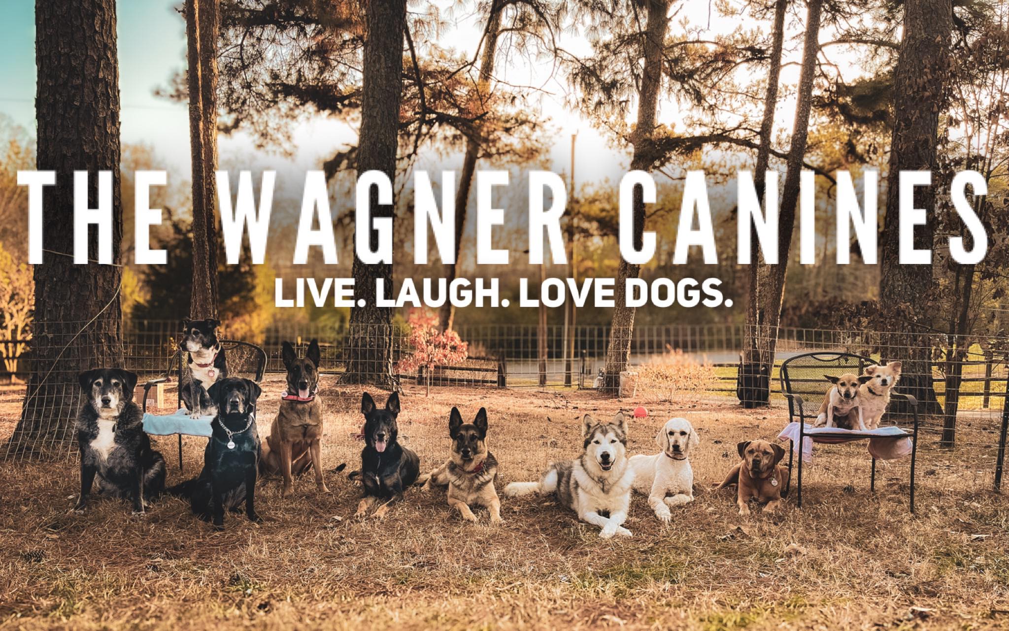 The Wagner Canines (@thewagnerk9s) • Facebook