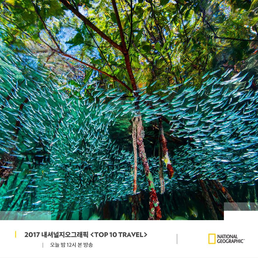 내셔널지오그래픽 - [내셔널지오그래픽 선정 TOP 10 TRAVEL] #쿠바! 🇨🇺 쿠바는 에메랄드...