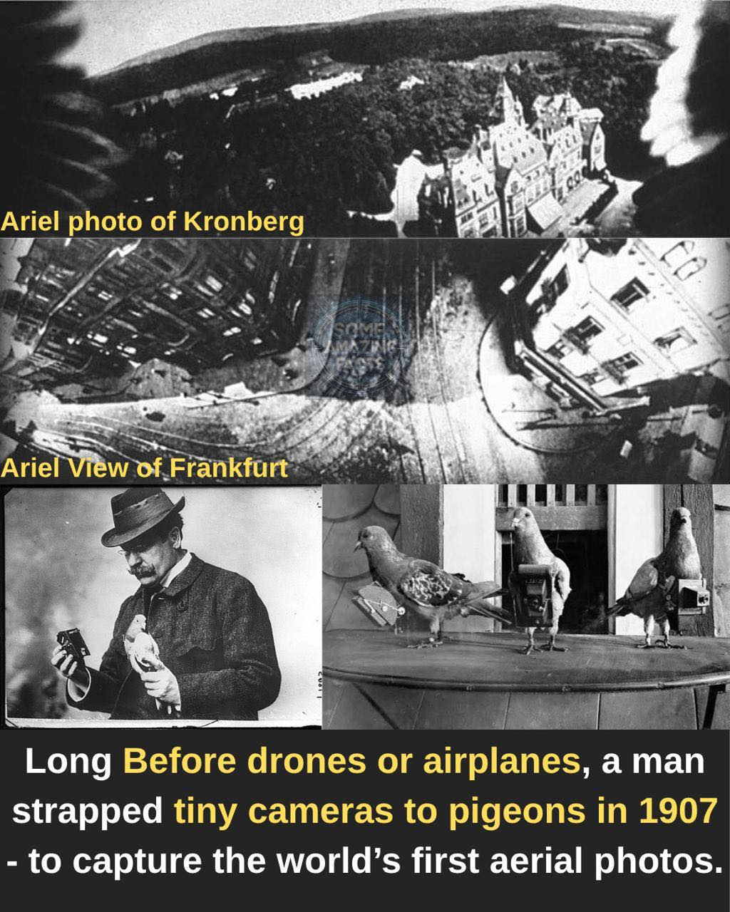 Some - Long before planes, satellites, or DJI drones existed, a German ...