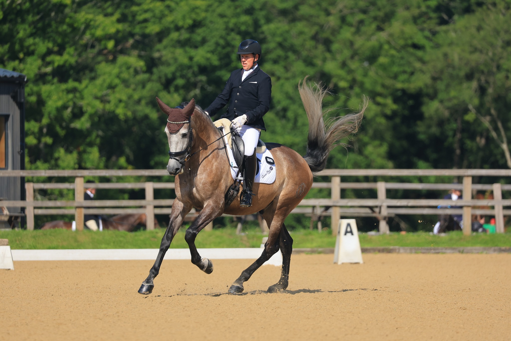 Felbridge - Photos from today's British Dressage show are now online to ...