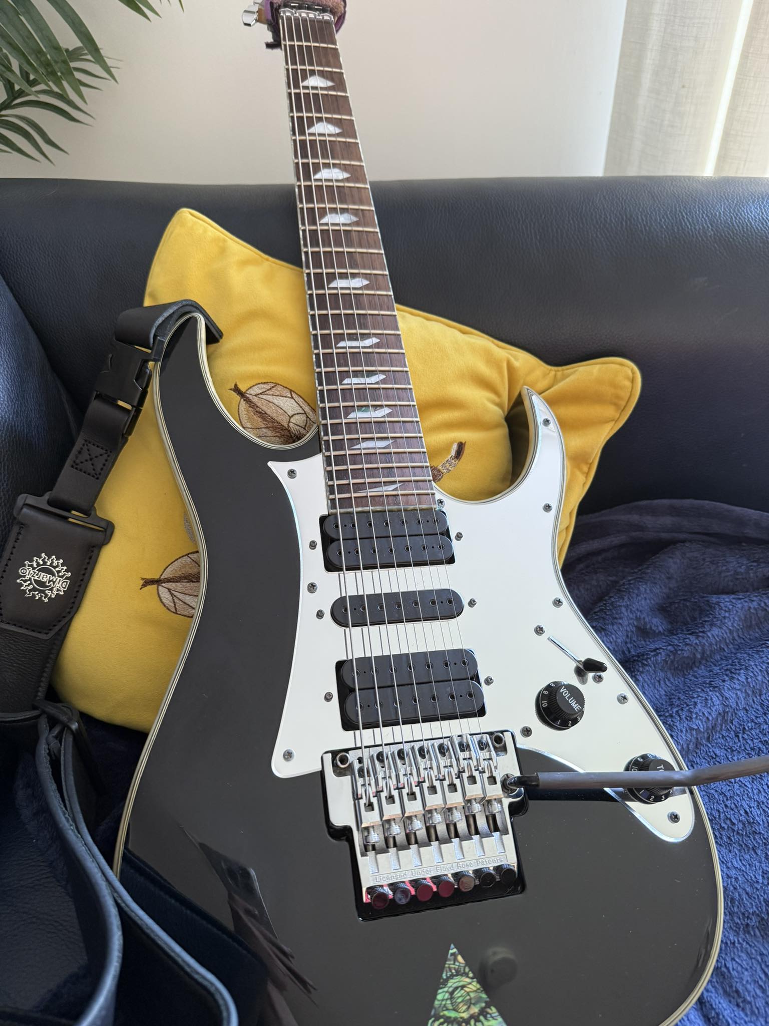 The Dimarzio Fusion Edge !!! Absolutely amazing !!! I'm literally