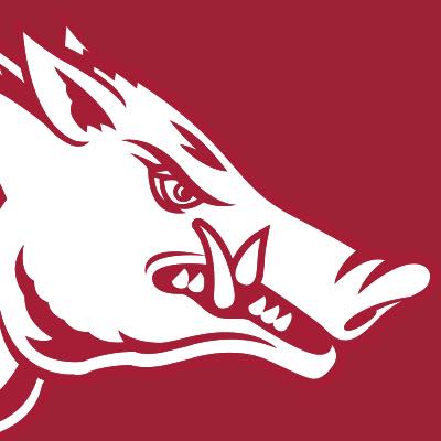 Arkansas Razorbacks Steak Snacks