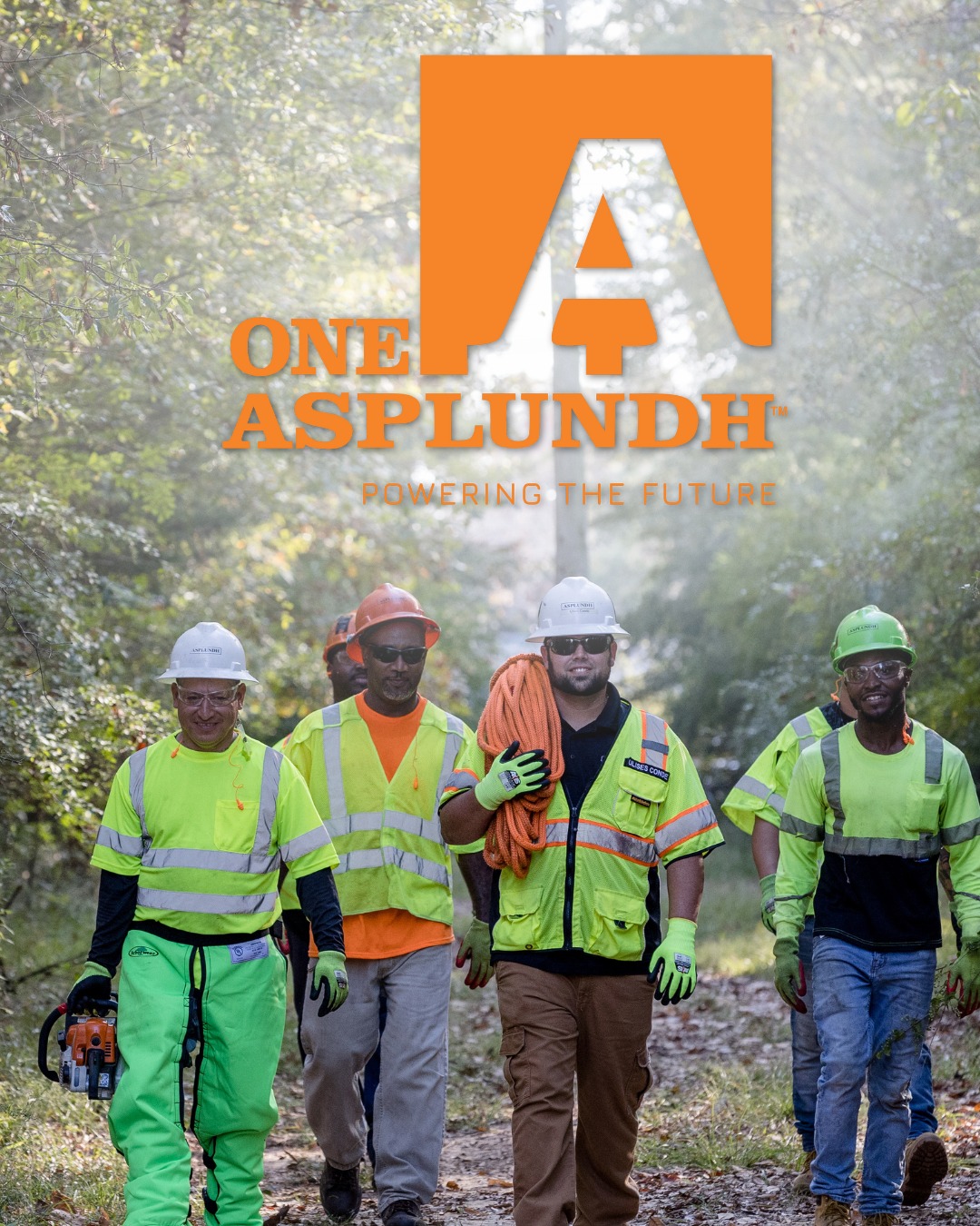 Asplundh Tree Expert, LLC
