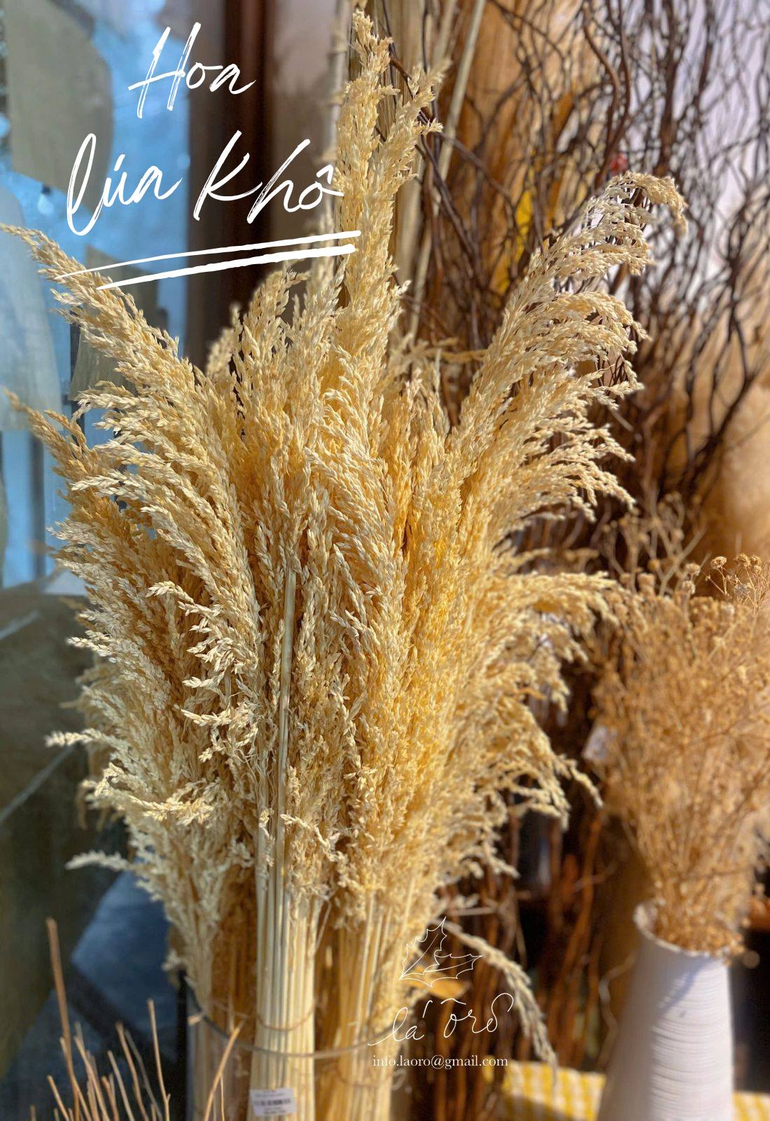 Lá Ô Rô - Hotel Supply & Home Decor | Nha Trang